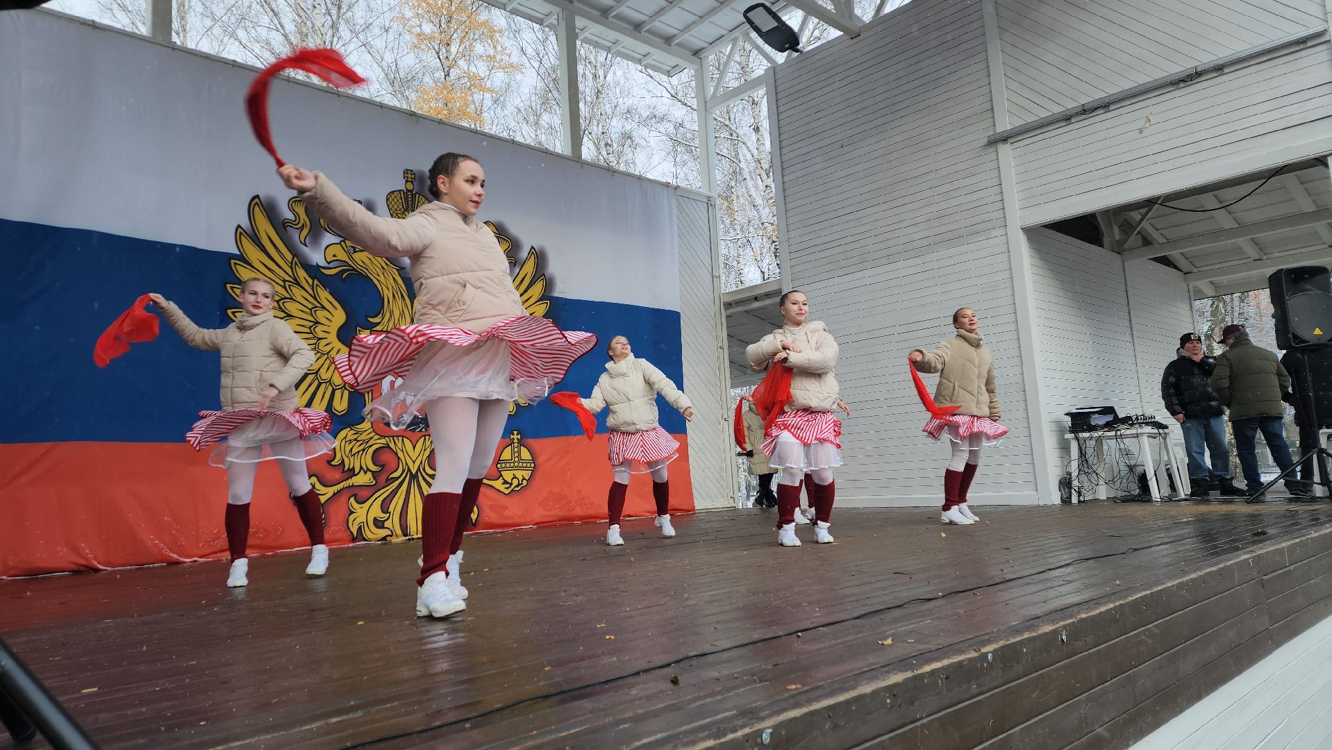 пушкино, центральный парк, праздничный концерт, национальные блюда, русские традиции, казачьи песни, день народного единства, вертикалки,