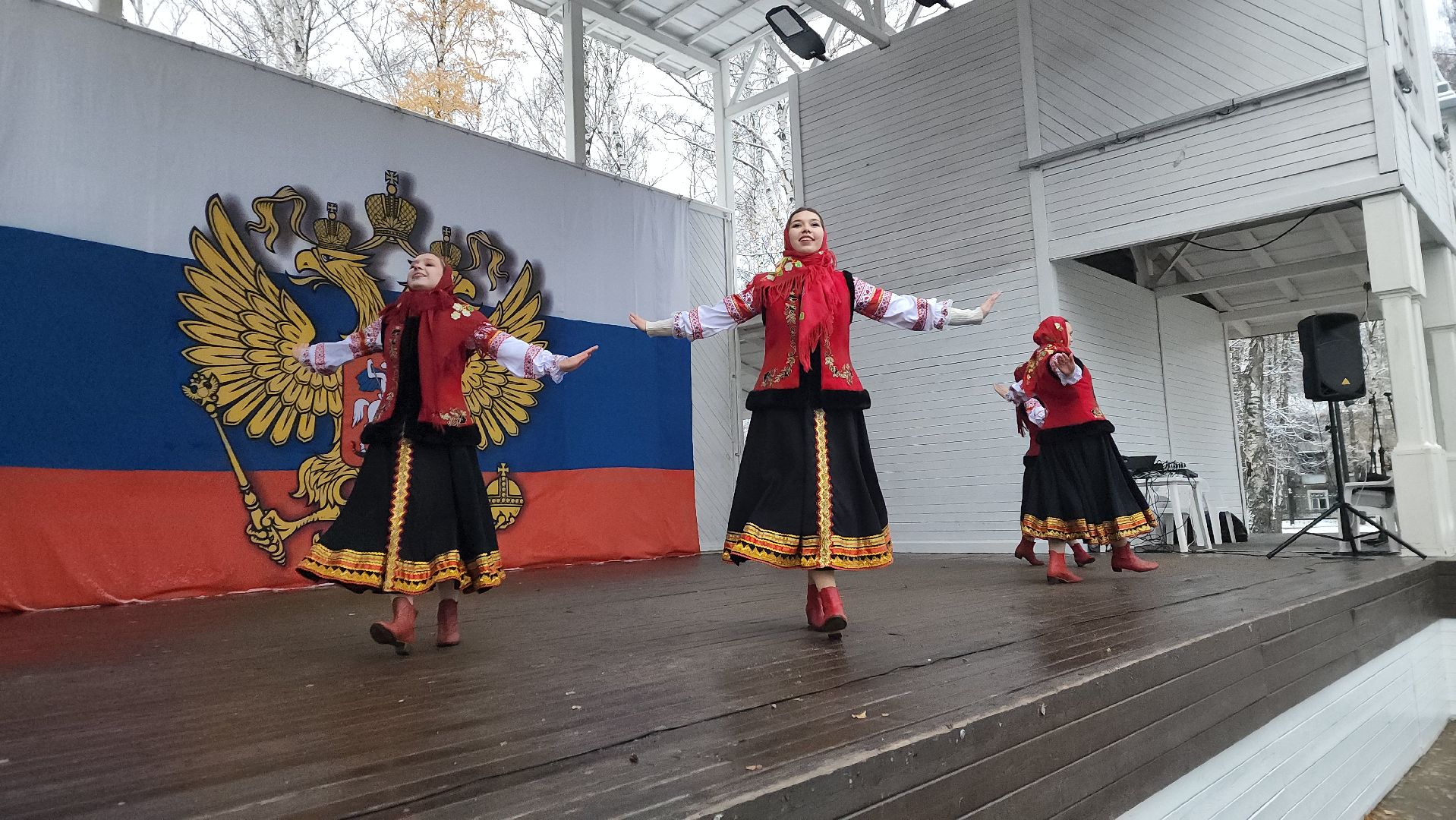 пушкино, центральный парк, праздничный концерт, национальные блюда, русские традиции, казачьи песни, день народного единства, вертикалки,