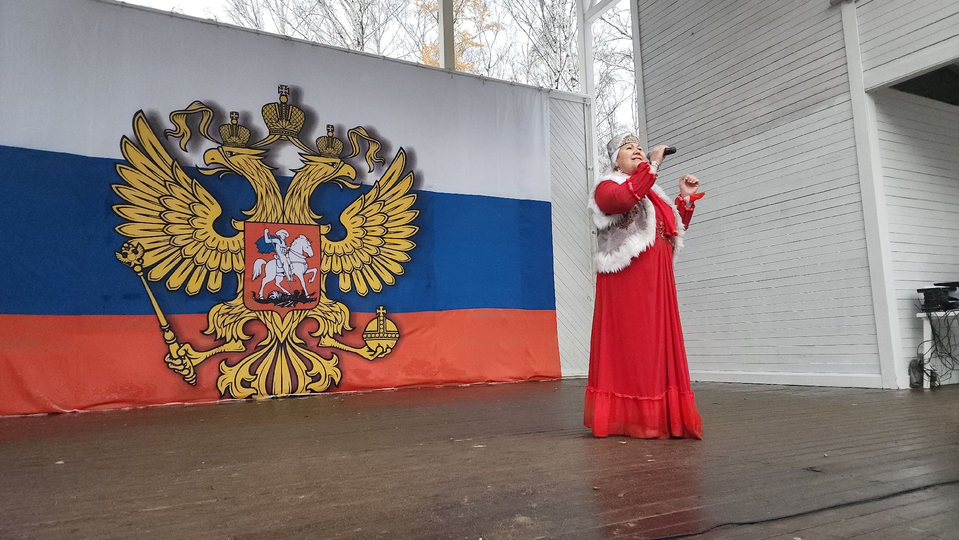 пушкино, центральный парк, праздничный концерт, национальные блюда, русские традиции, казачьи песни, день народного единства, вертикалки,