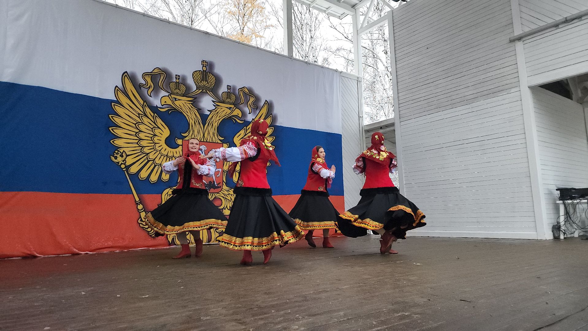 пушкино, центральный парк, праздничный концерт, национальные блюда, русские традиции, казачьи песни, день народного единства, вертикалки,