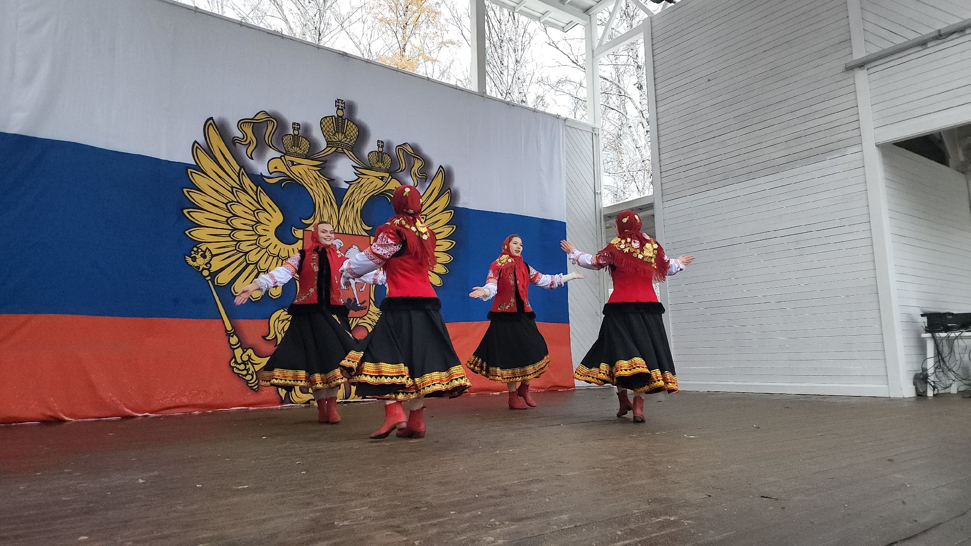 пушкино, центральный парк, праздничный концерт, национальные блюда, русские традиции, казачьи песни, день народного единства, вертикалки,