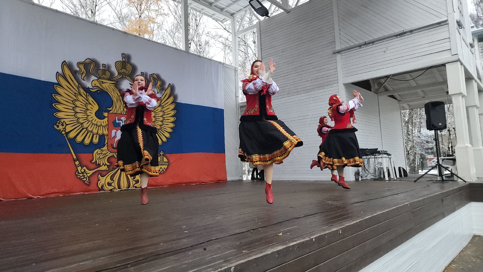 пушкино, центральный парк, праздничный концерт, национальные блюда, русские традиции, казачьи песни, день народного единства, вертикалки,