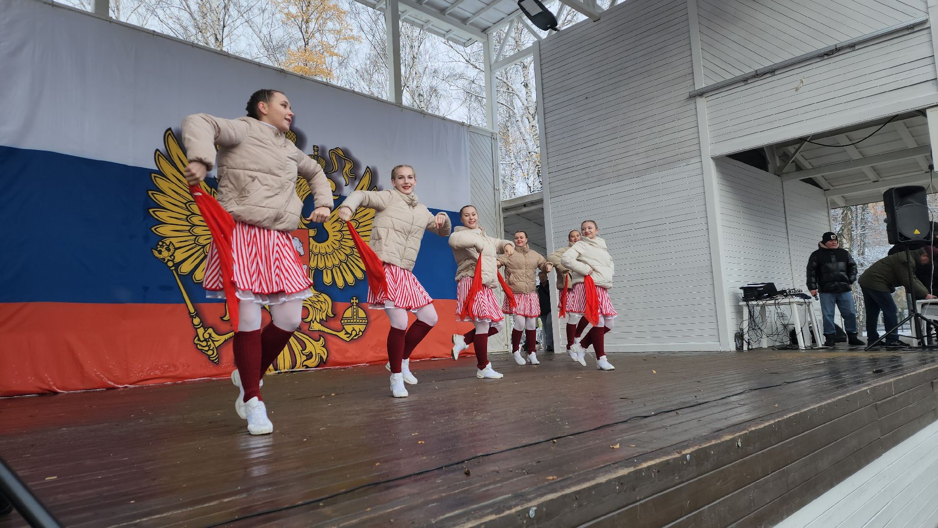 пушкино, центральный парк, праздничный концерт, национальные блюда, русские традиции, казачьи песни, день народного единства, вертикалки,