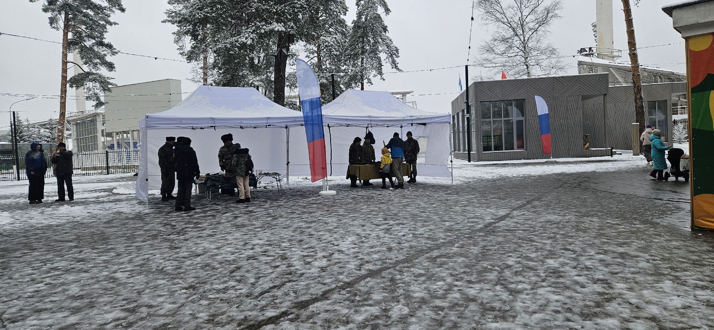 Выставка, Парк, Жуковский, праздник,