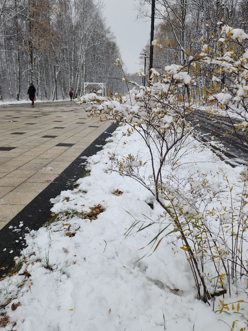 электросталь, мой город, жители города, концерт, военный оркестр, день народного единства, парк авангард, парки подмосковья, вертикалки