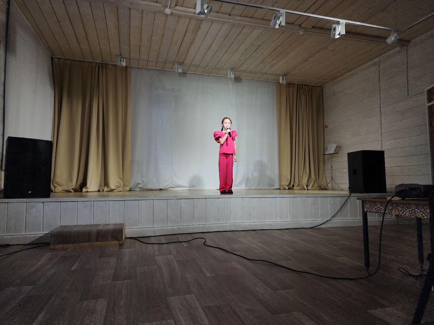 Черноголовка, день народного единства, Концерт ко дню народного единства,