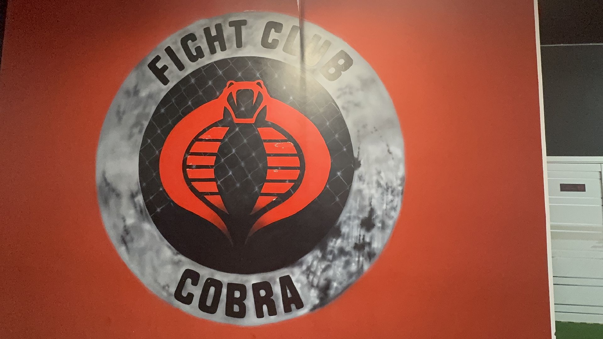 Вертикалки, Солнечногорск, Кикбоксинг, Чемпион мира, Спорт, дети,