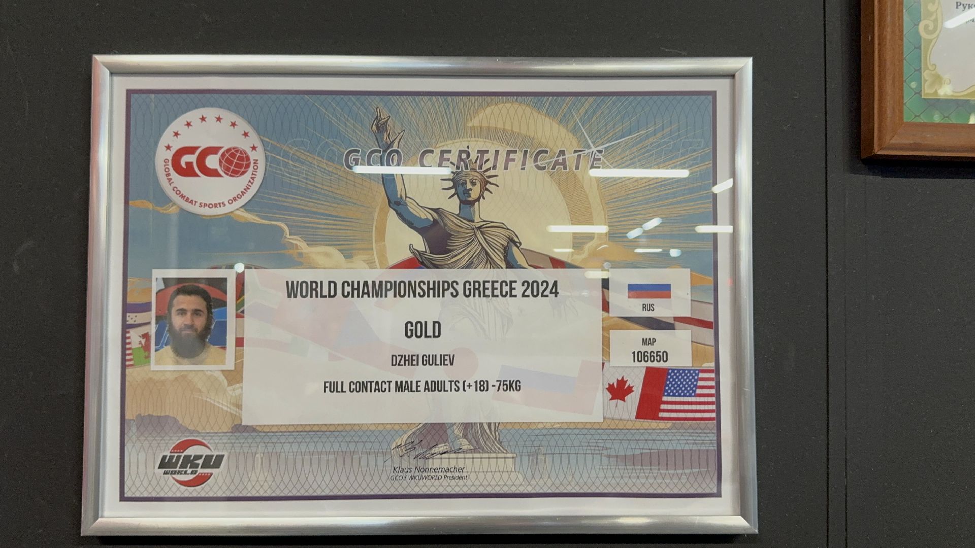 Вертикалки, Солнечногорск, Кикбоксинг, Чемпион мира, Спорт, дети,