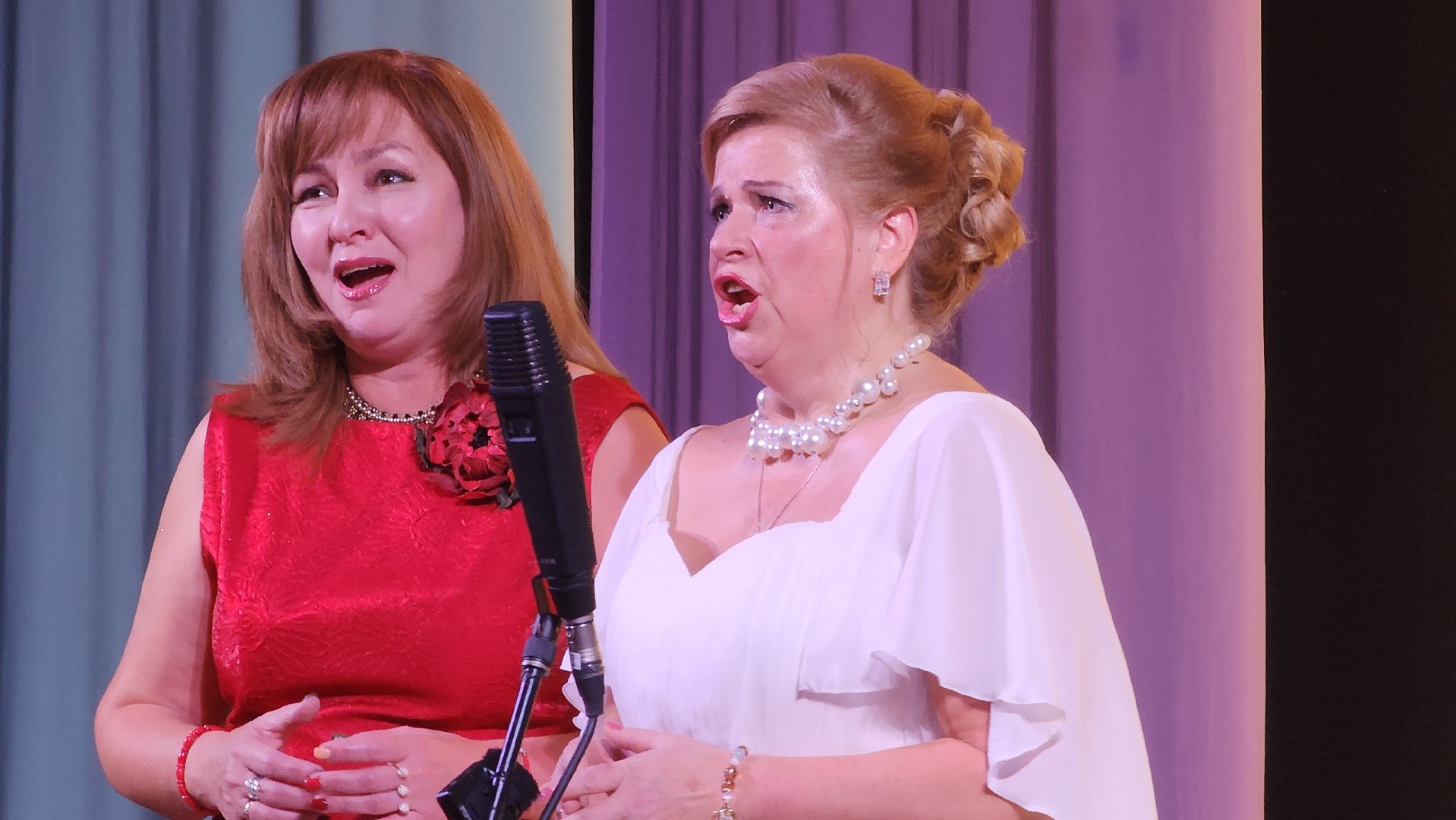 вертикалка, пушкино, юбилей, певица, опера, театр, артисты, концерт,