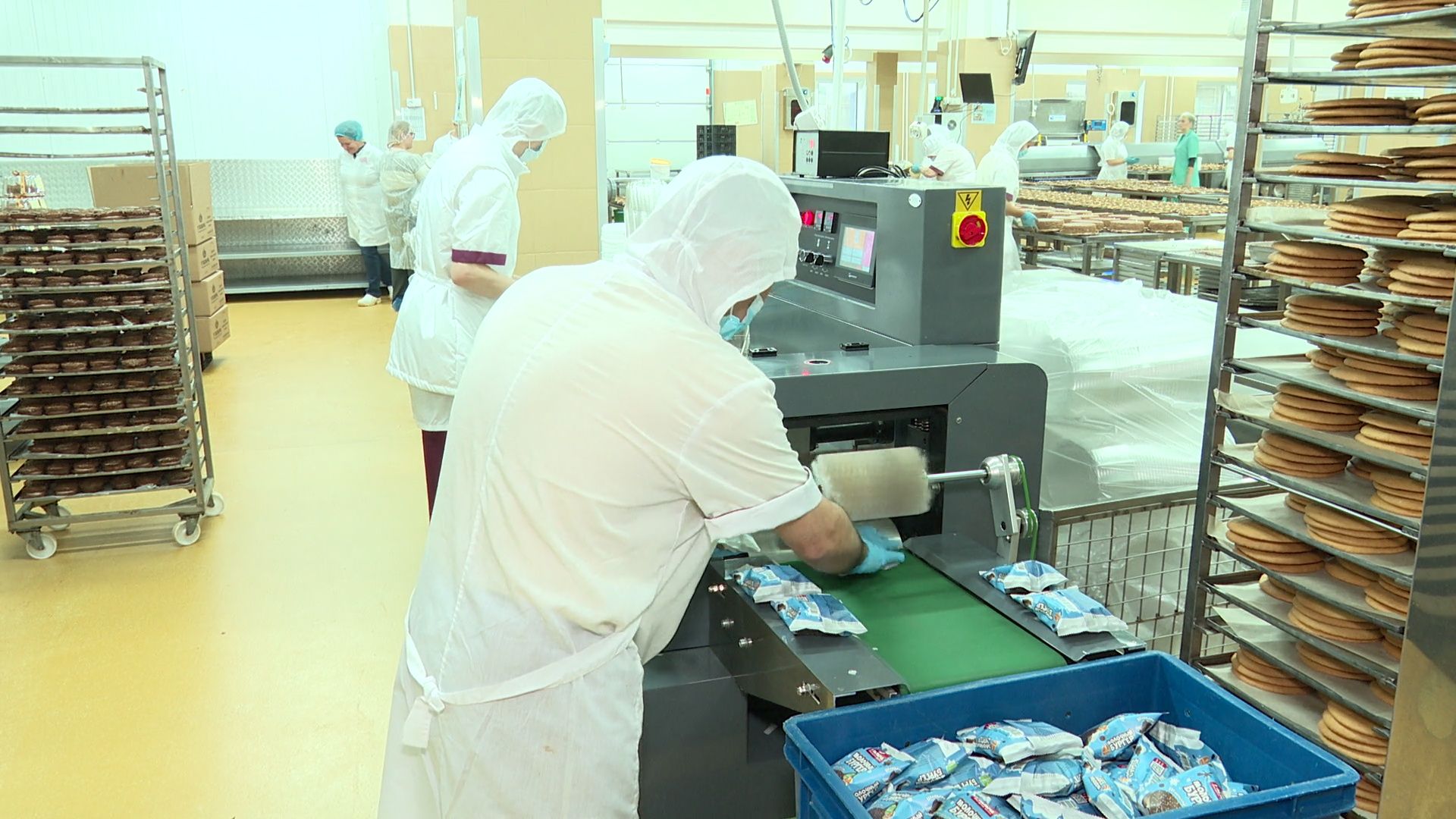 Реутов, вертикалки, экономика, У Палыча, сладкий бургер, творог и молоко, продукция года,