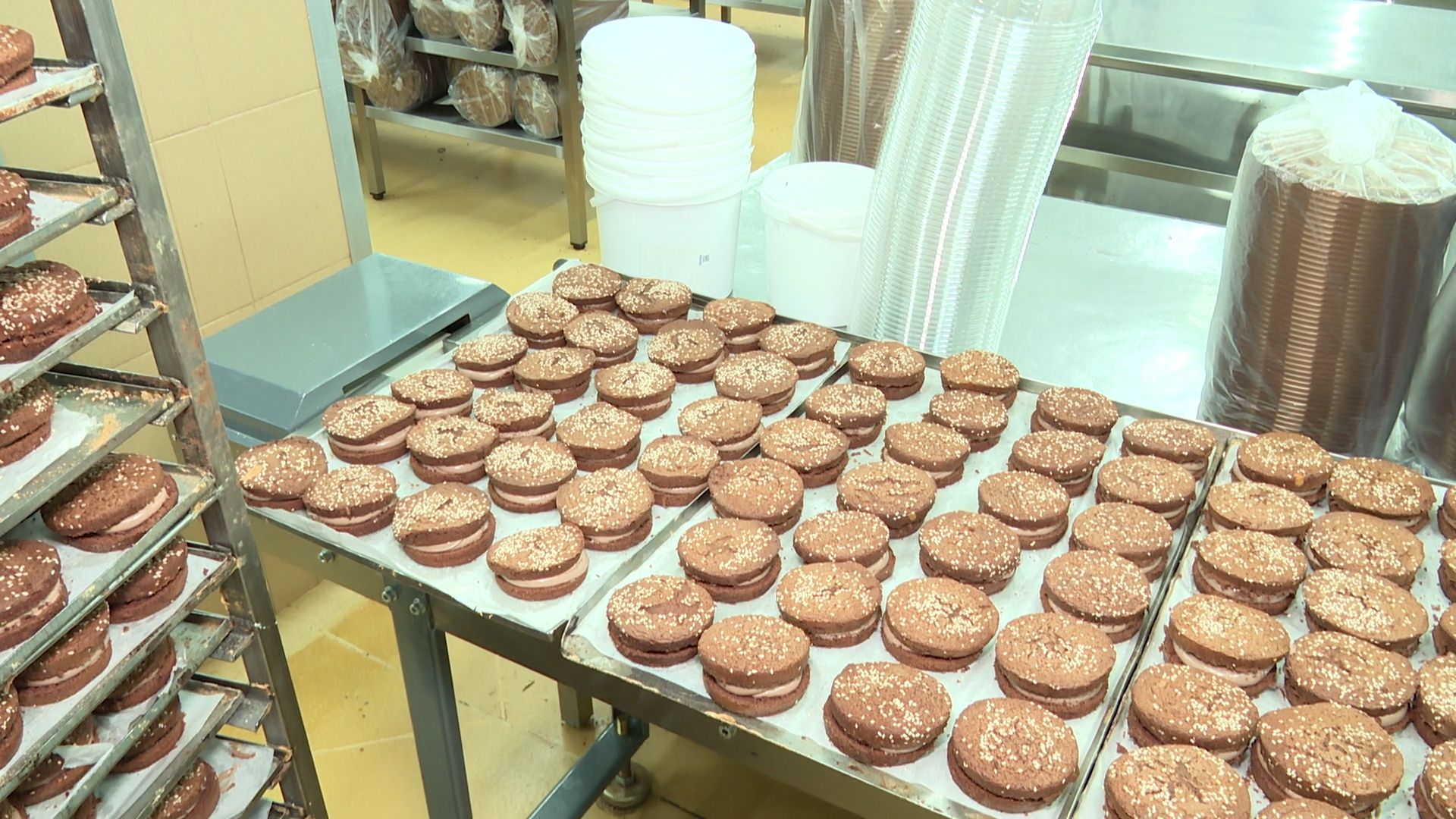 Реутов, вертикалки, экономика, У Палыча, сладкий бургер, творог и молоко, продукция года,