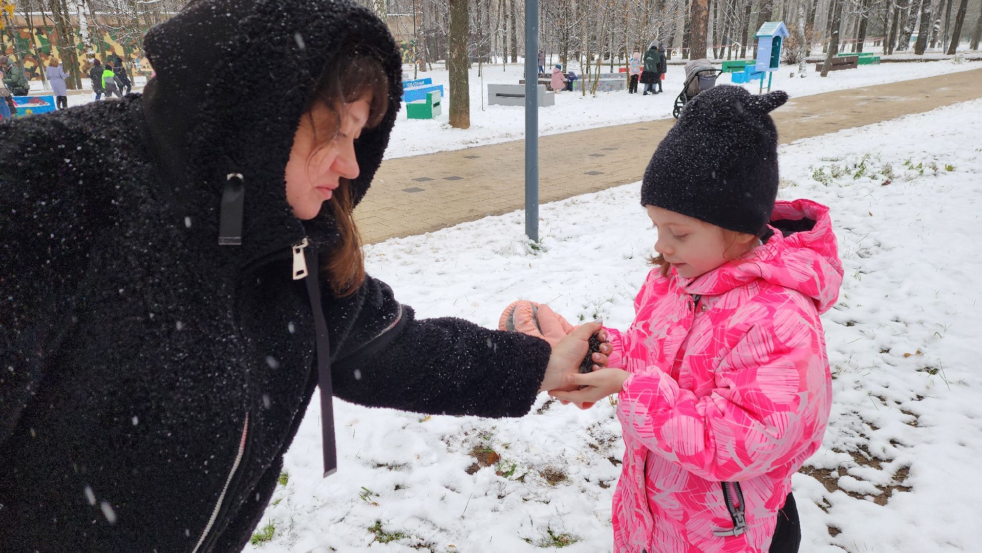 Солнечногорск, вертикалки, уличное освещение, добродел,
