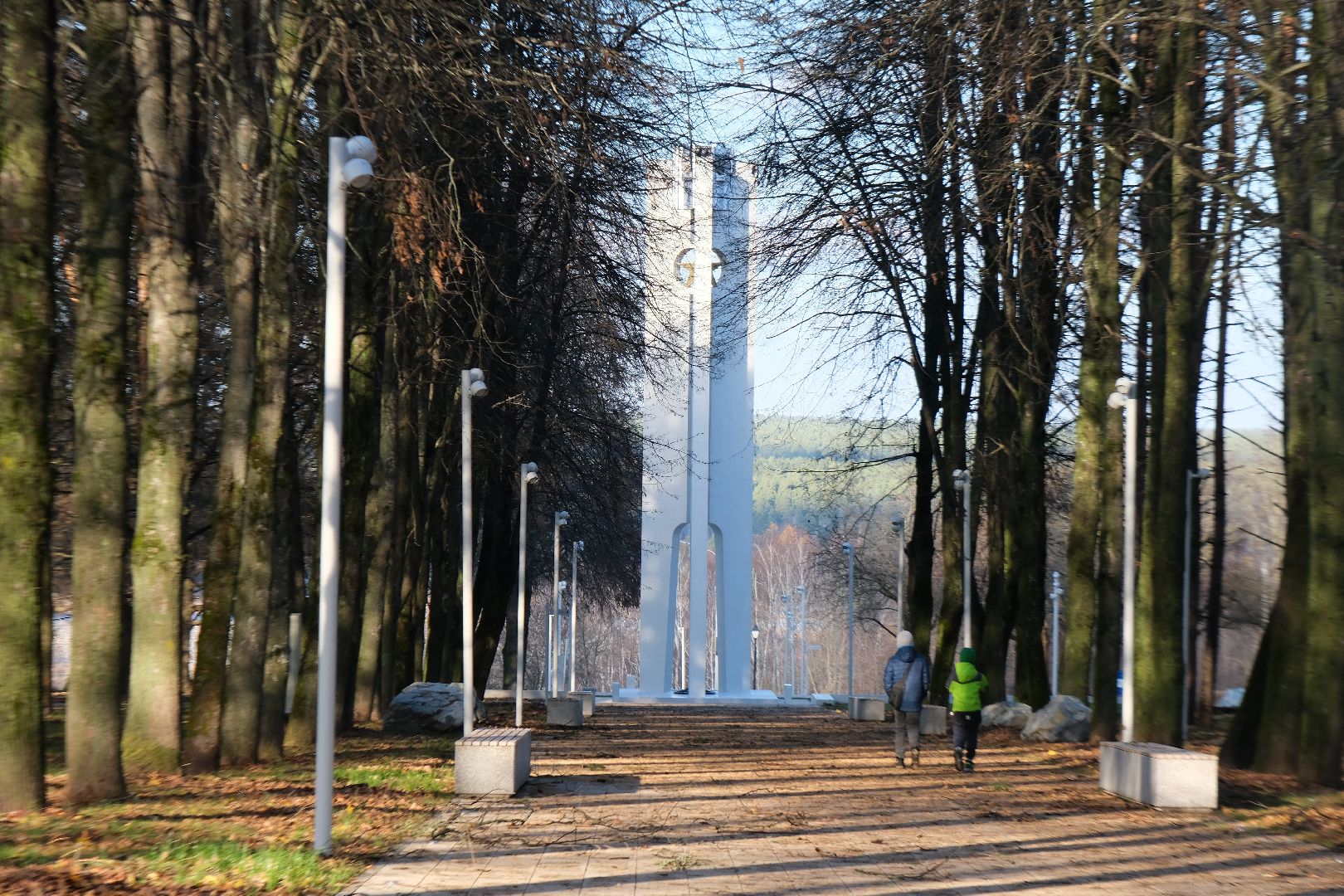 пущино, серпухов, благоуйстройство, вертикалка,