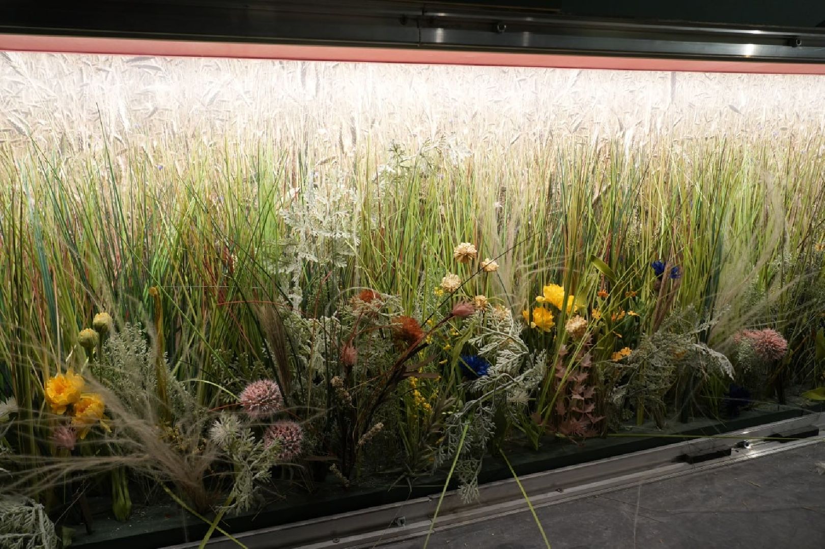 Культура, Сергиево-Посадский музей-заповедник, Выставка, Музеи, Сергиев Посад,вертикалки,