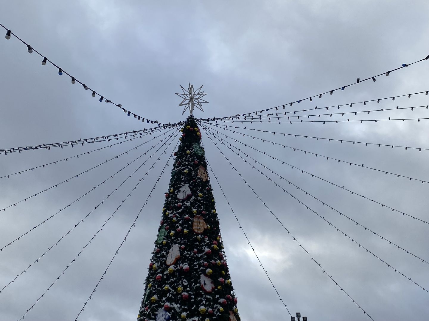 ёлка, Каток, Главная площадь, Истра, вертикалка,