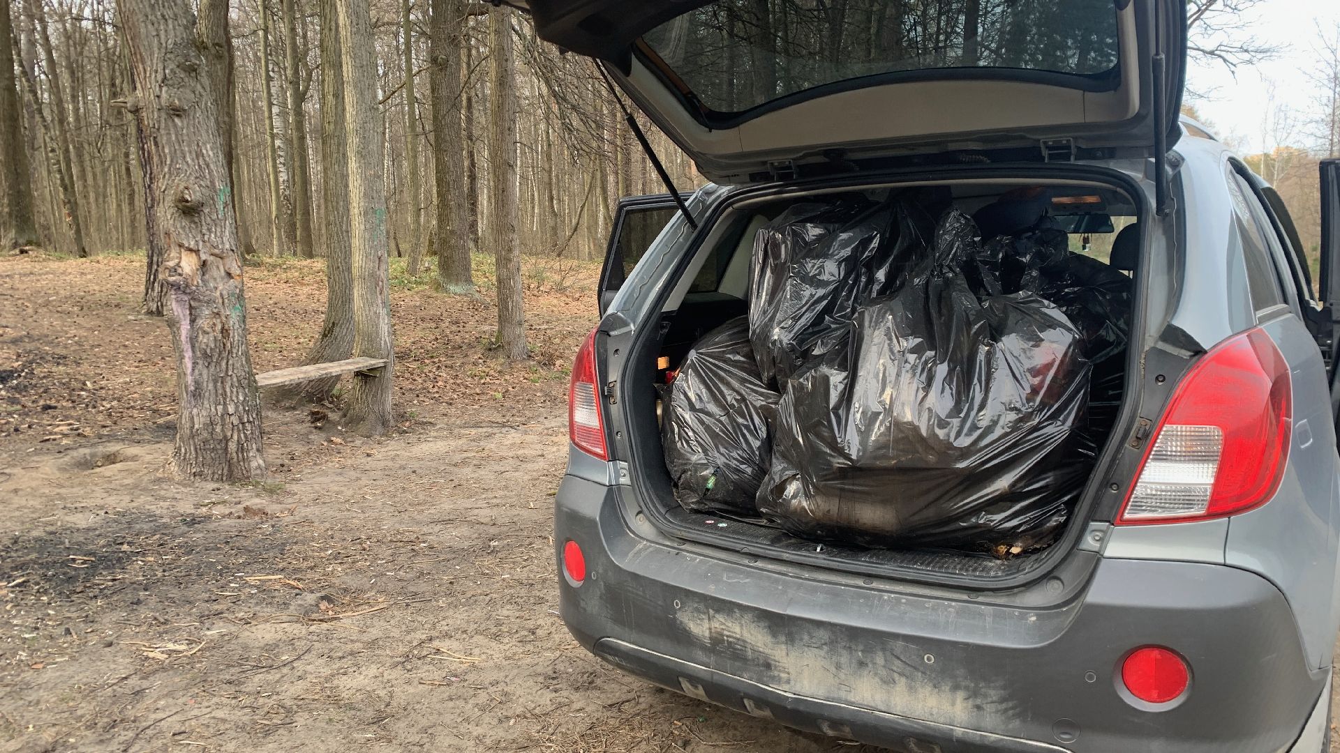 Ступино, островок, Зеленый остров, экология, инициативы