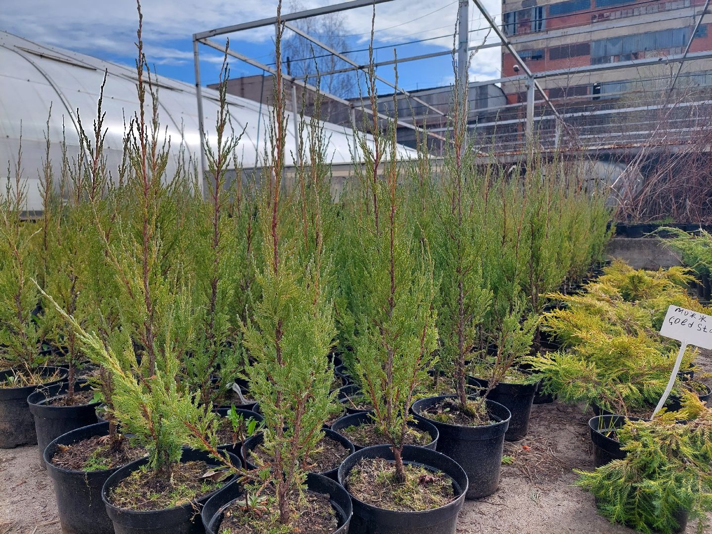 благоустройство, экология, Воскресенск