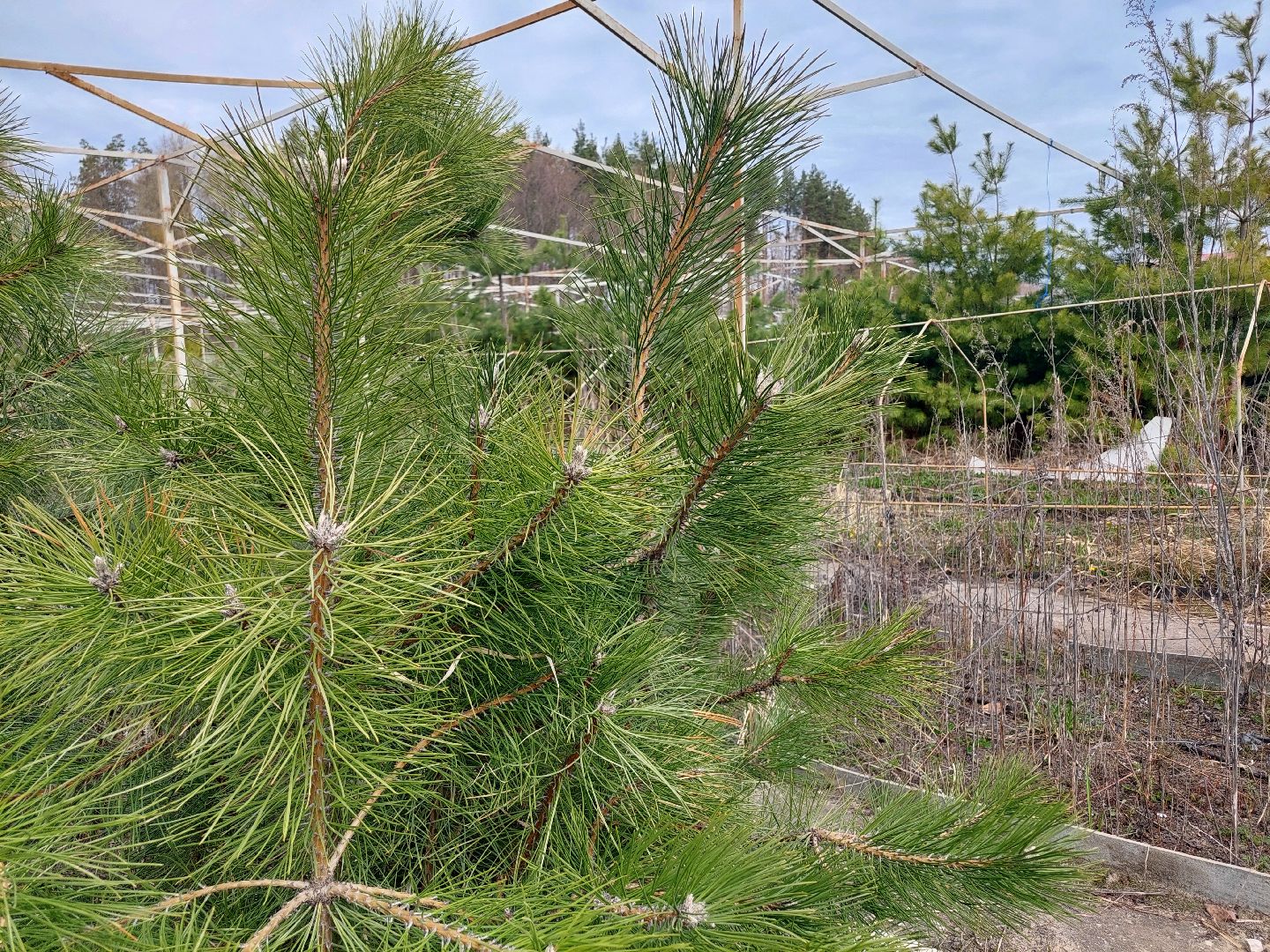 благоустройство, экология, Воскресенск