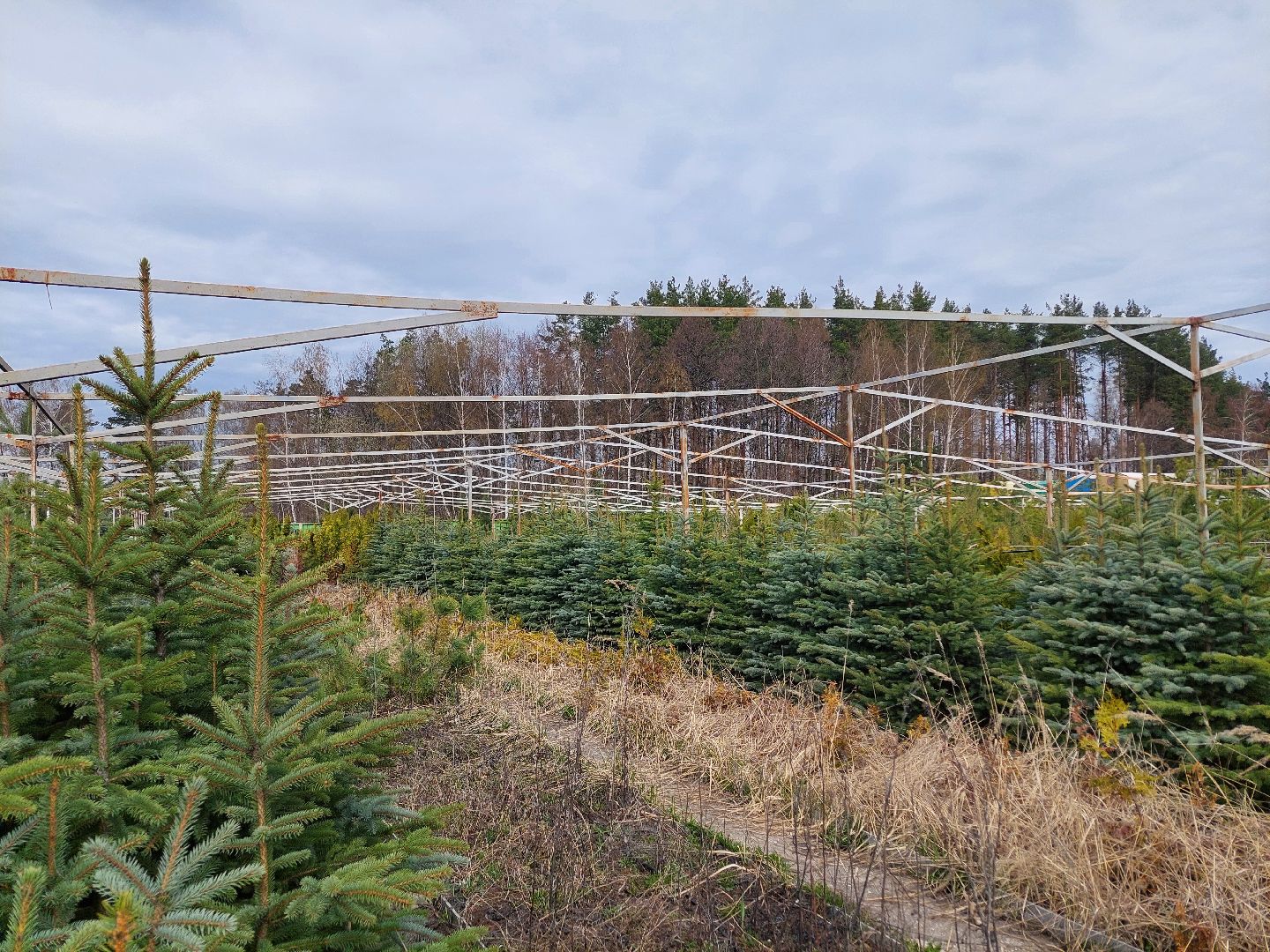 благоустройство, экология, Воскресенск
