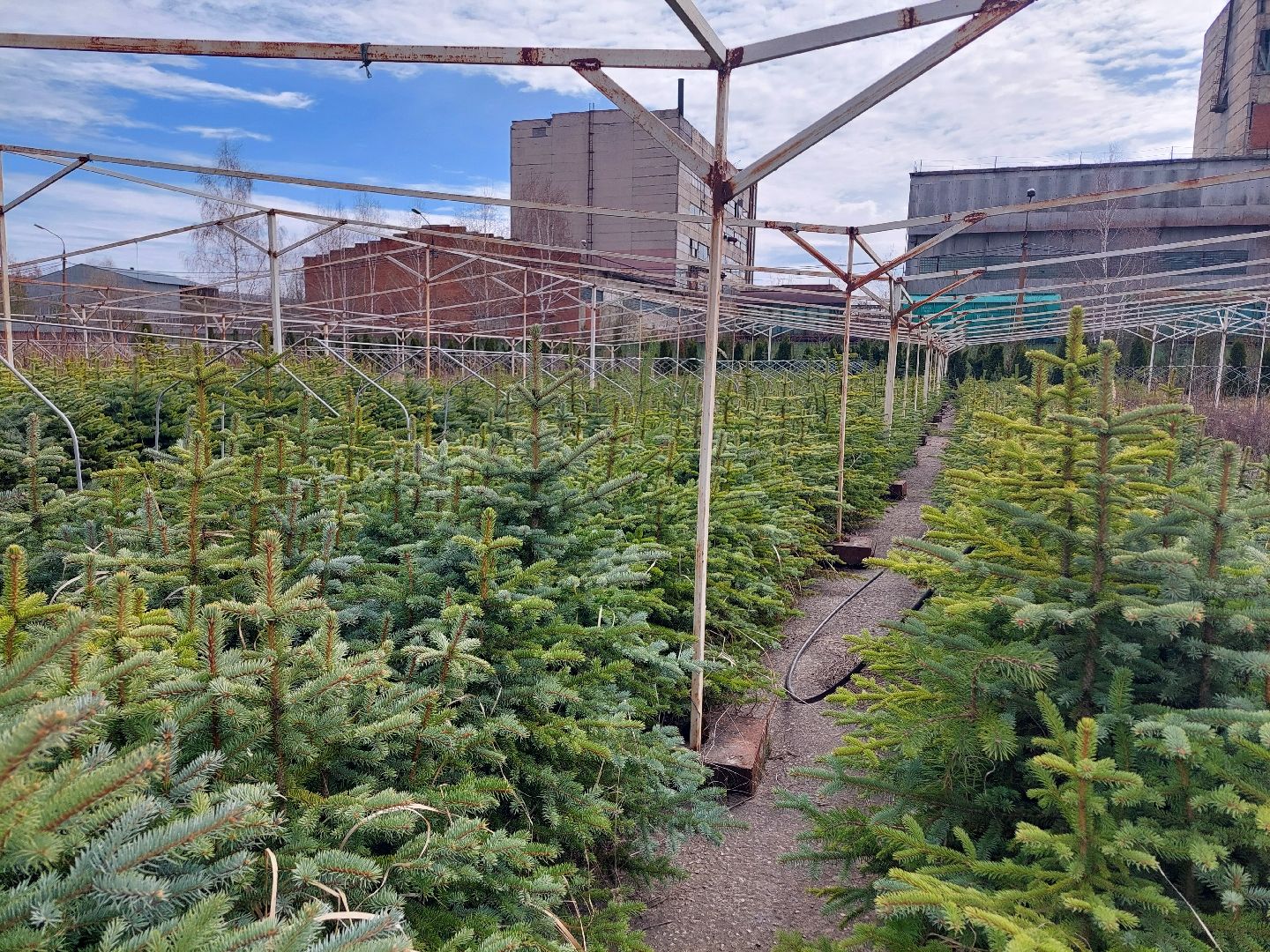 благоустройство, экология, Воскресенск