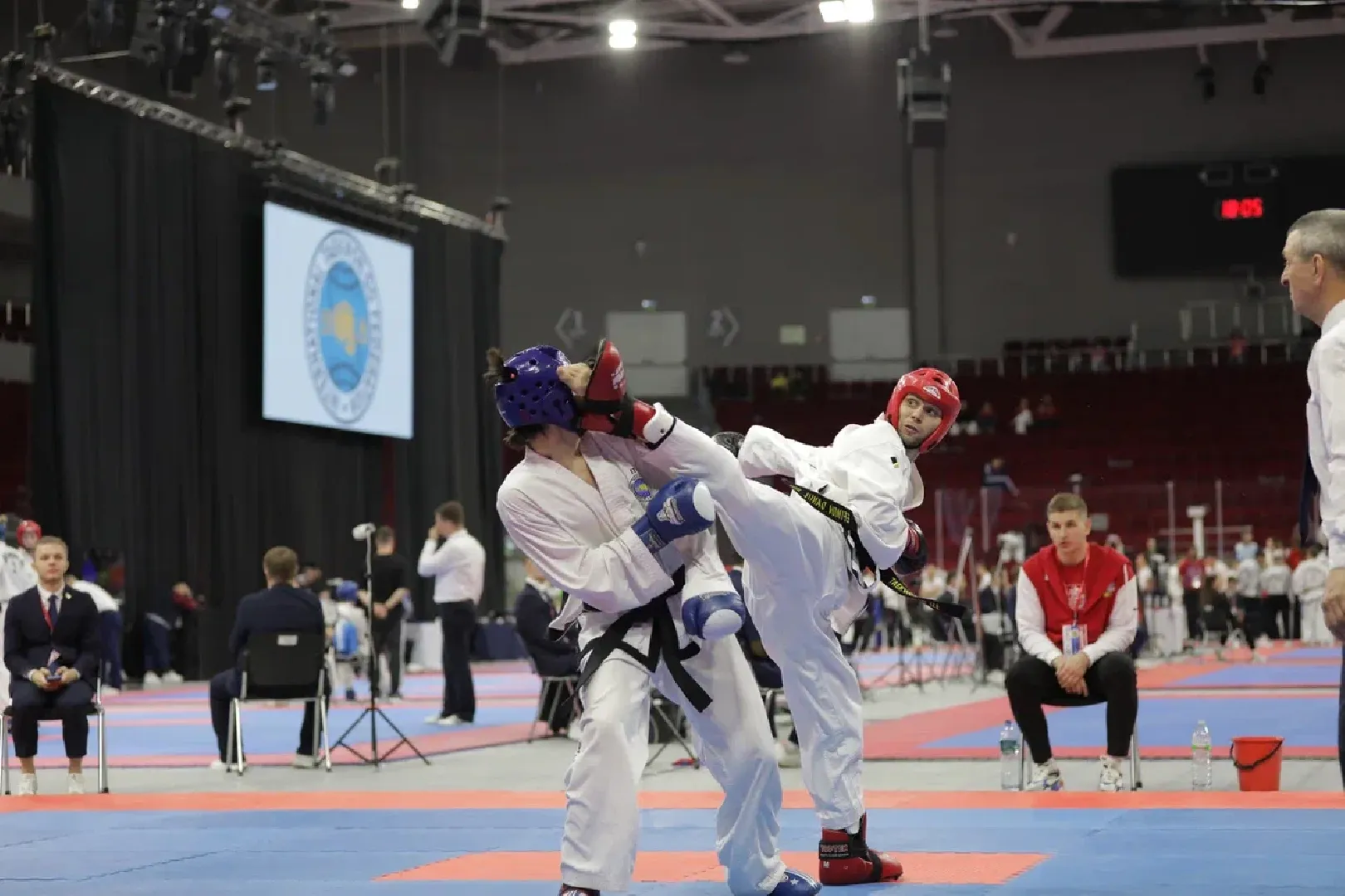 Балашиха, Подмосковье, спорт, тхэквондо, турниры, чемпионаты, спортивные клубы