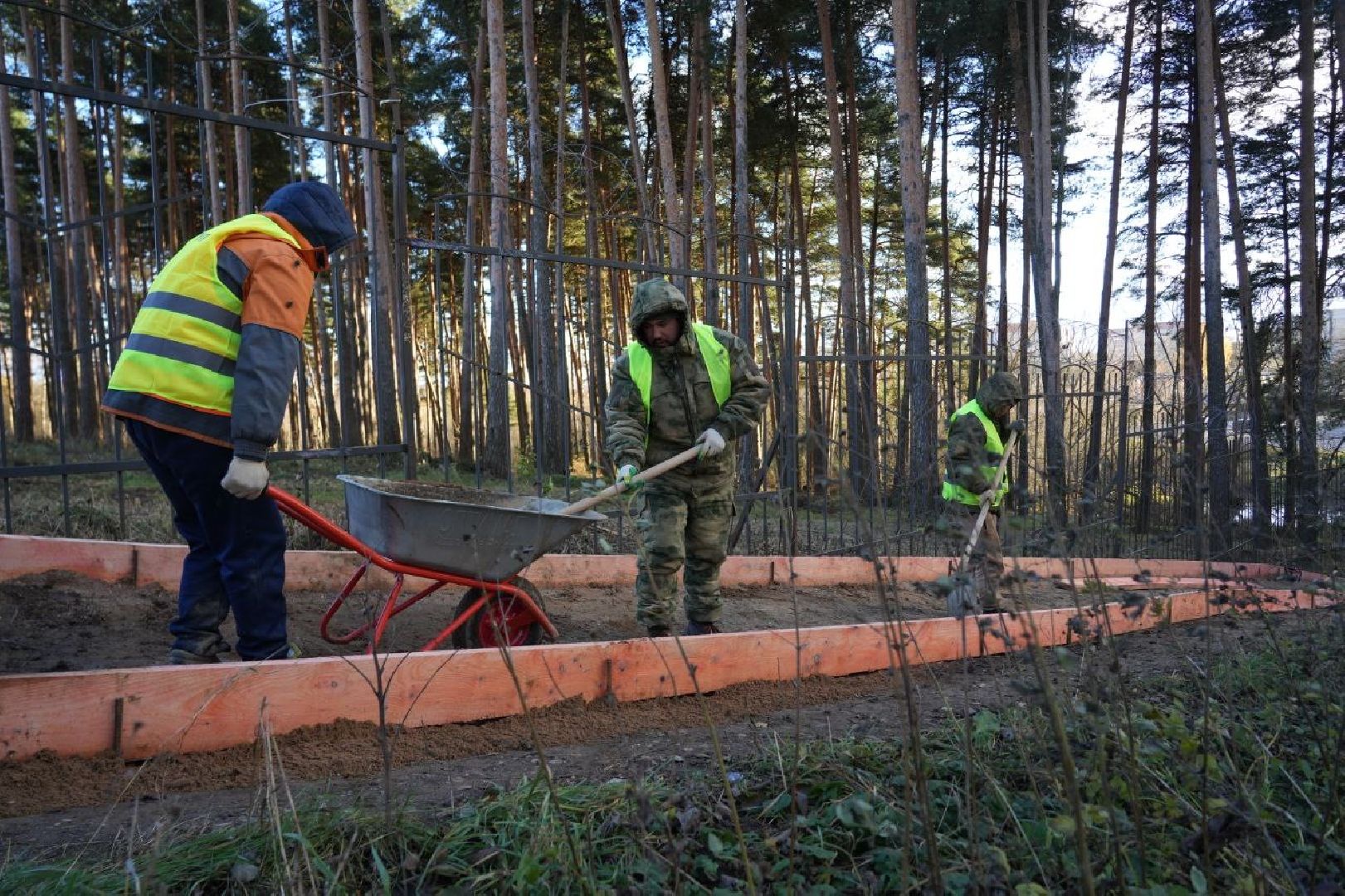 Благоустройство, Народная тропа, Сергиев Посад, Сергиево-Посадский городской округ, Экотропа, Экология, Природа, вертикалки,
