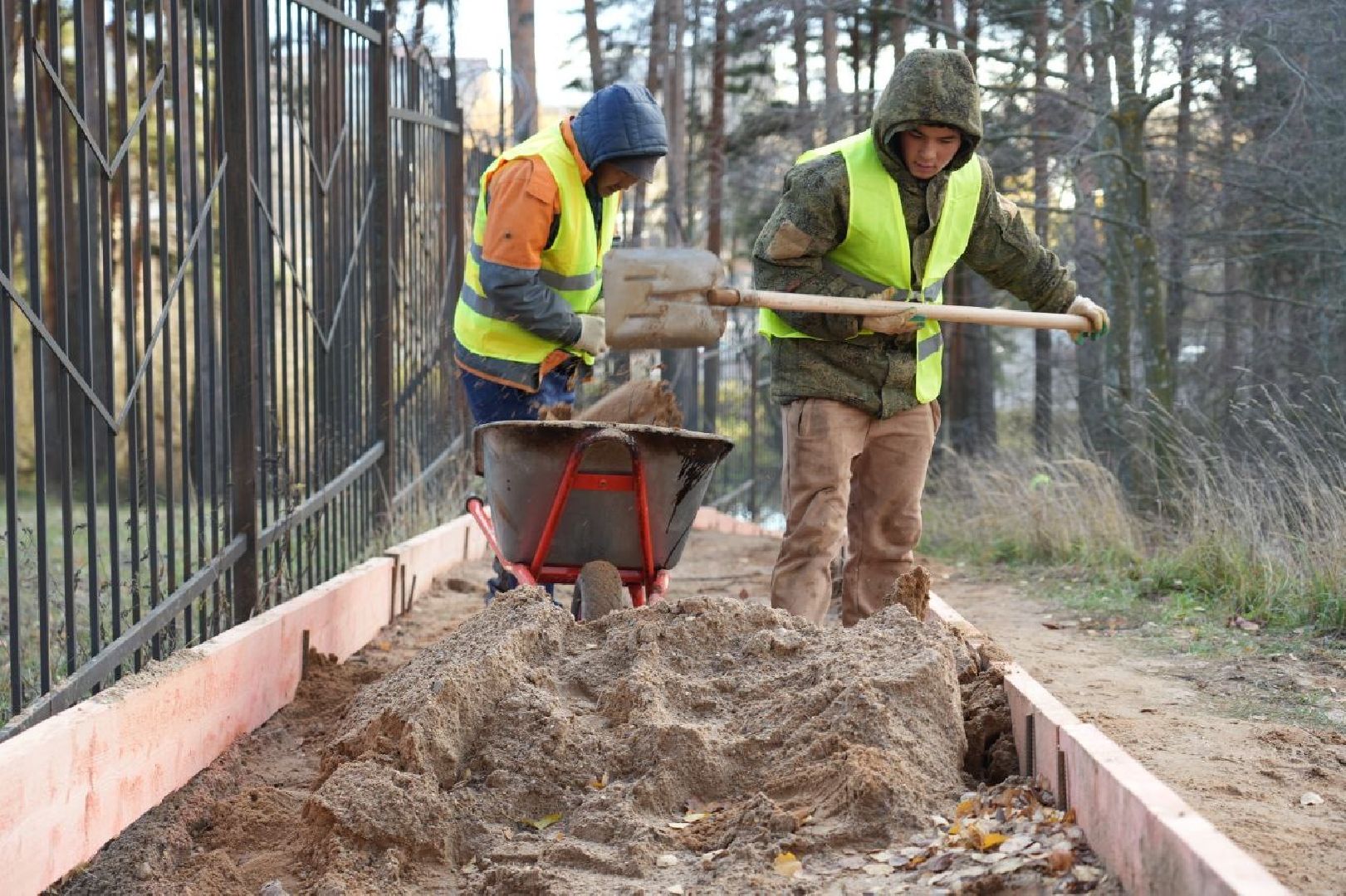 Благоустройство, Народная тропа, Сергиев Посад, Сергиево-Посадский городской округ, Экотропа, Экология, Природа, вертикалки,