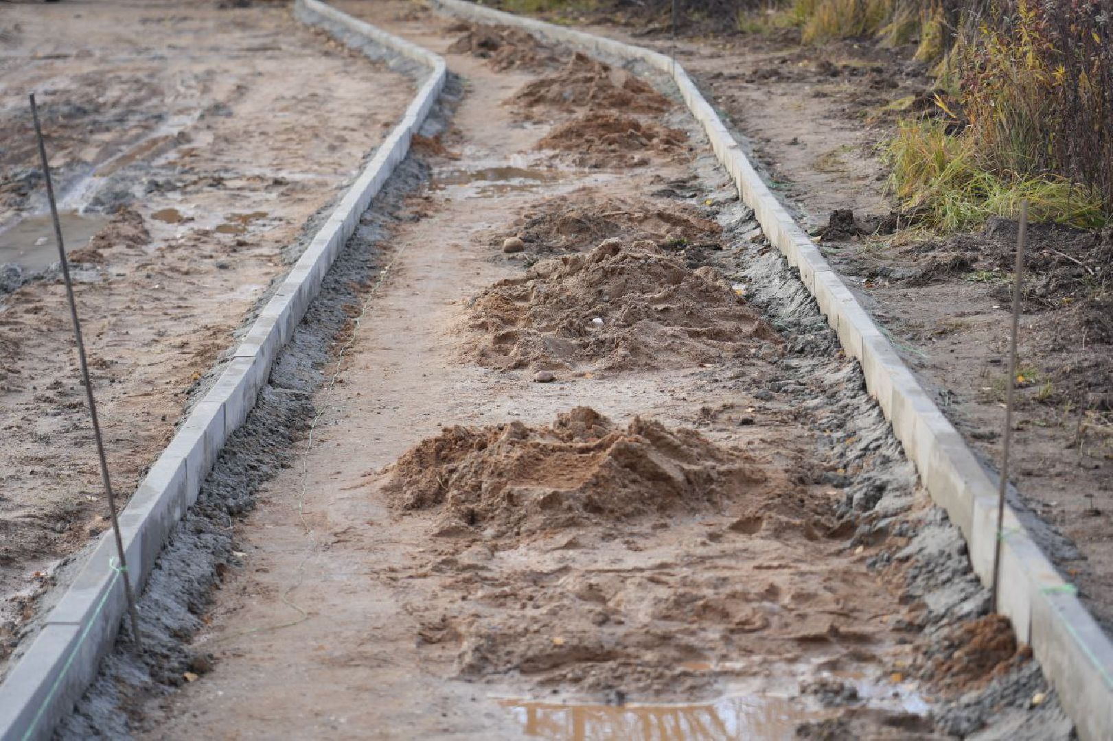 Благоустройство, Народная тропа, Сергиев Посад, Сергиево-Посадский городской округ, Экотропа, Экология, Природа, вертикалки,