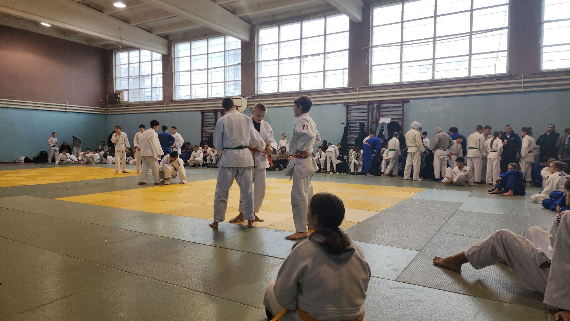 электросталь, электросталь спортивная, дзюдо, школа дзюдо, турнир по дзюдо, турнир памяти, спортивная школа, спортивная школа олимпийского резерва, мой город, вертикалки