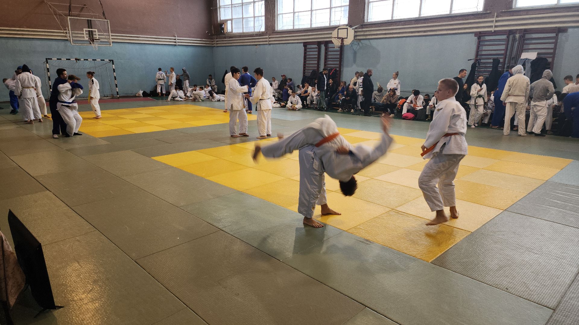 электросталь, электросталь спортивная, дзюдо, школа дзюдо, турнир по дзюдо, турнир памяти, спортивная школа, спортивная школа олимпийского резерва, мой город, вертикалки