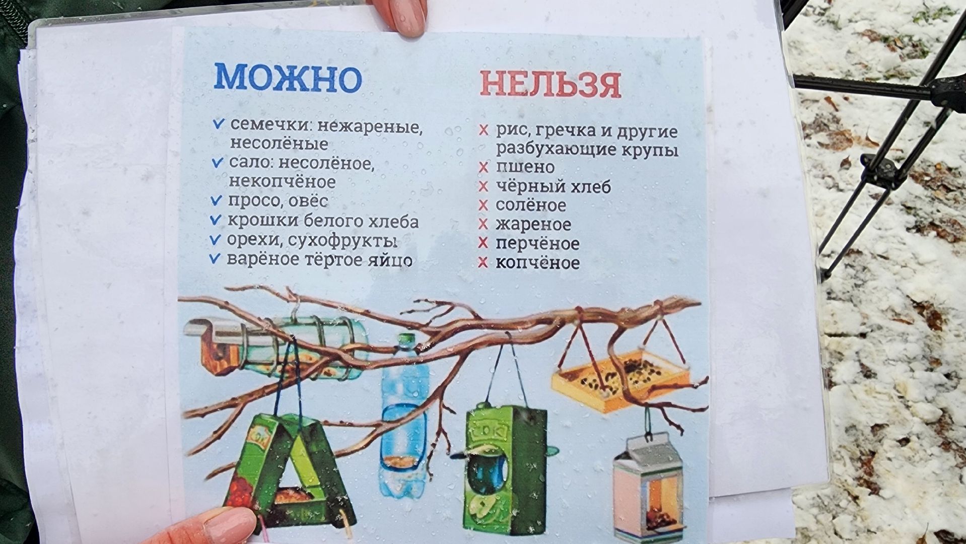 Солнечногорск, вертикалки, городской парк, акция кормишка, накорми птиц зимой,