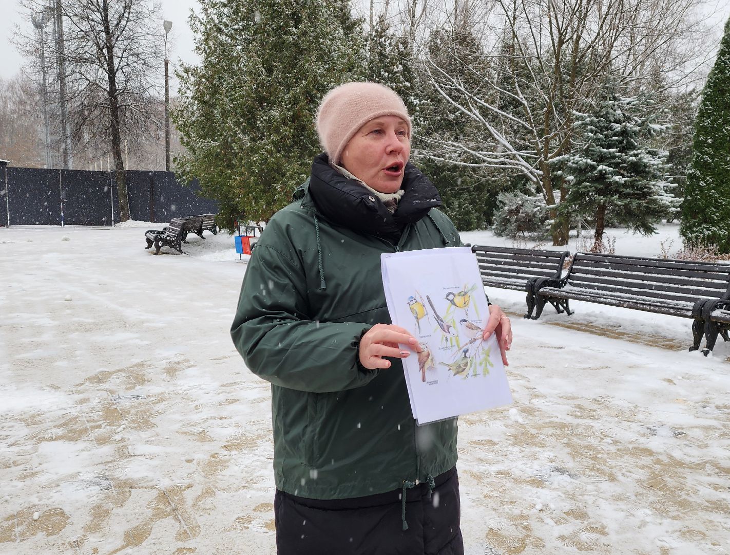 Солнечногорск, вертикалки, городской парк, акция кормишка, накорми птиц зимой,