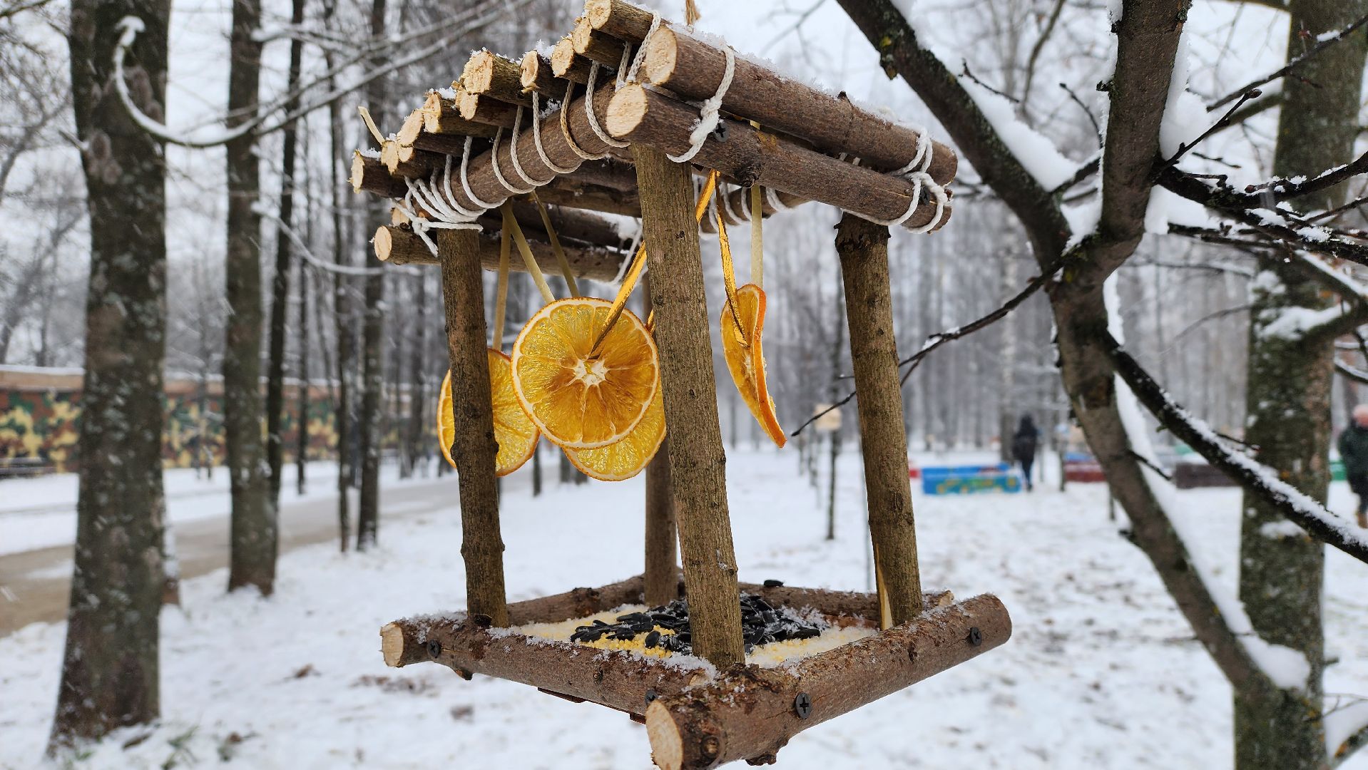 Солнечногорск, вертикалки, городской парк, акция кормишка, накорми птиц зимой,