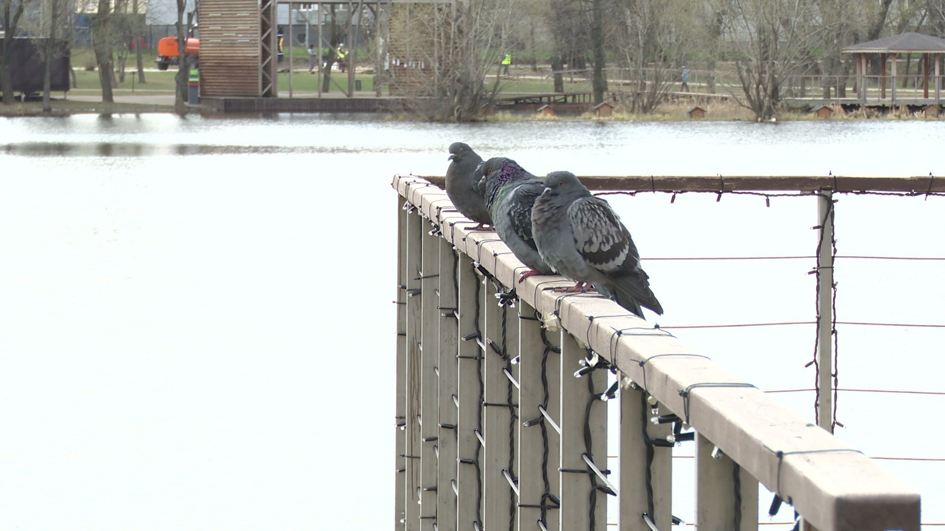 Реутов, месяц чистоты, благоустройство, субботник, мусор, грязь