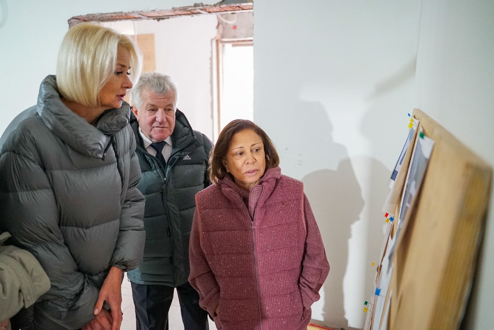 капремонт, депутат, дом детского творчества, вертикалка,