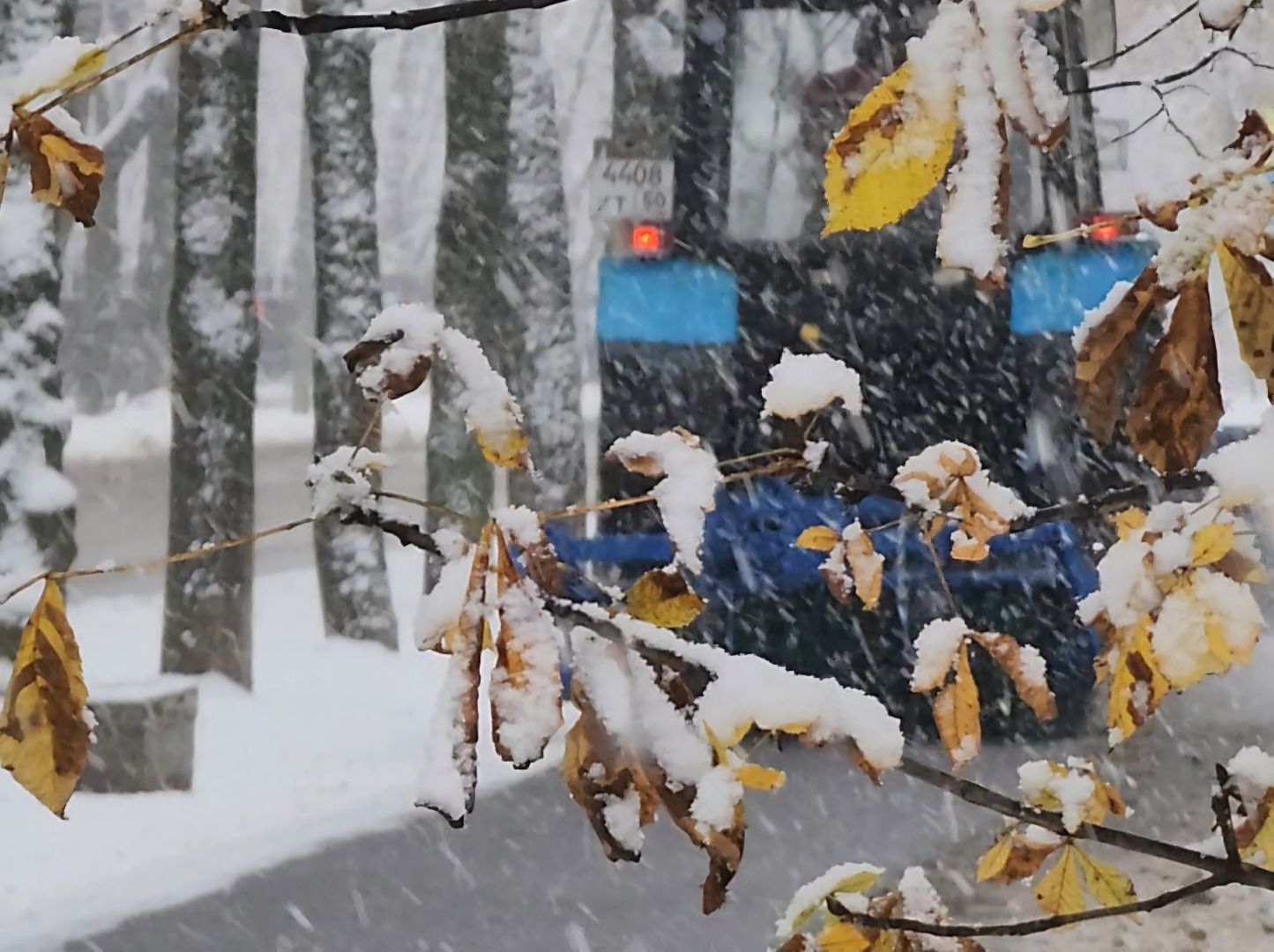 Дубна, Снегопад, Уборка города, жкх, вертикалка,