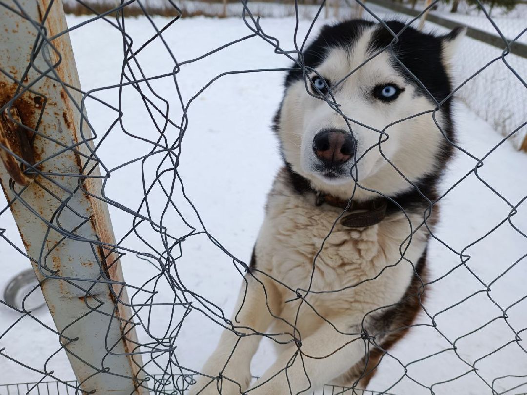 Можайский Округ, Подмосковье, Агротуризм, Экоферма