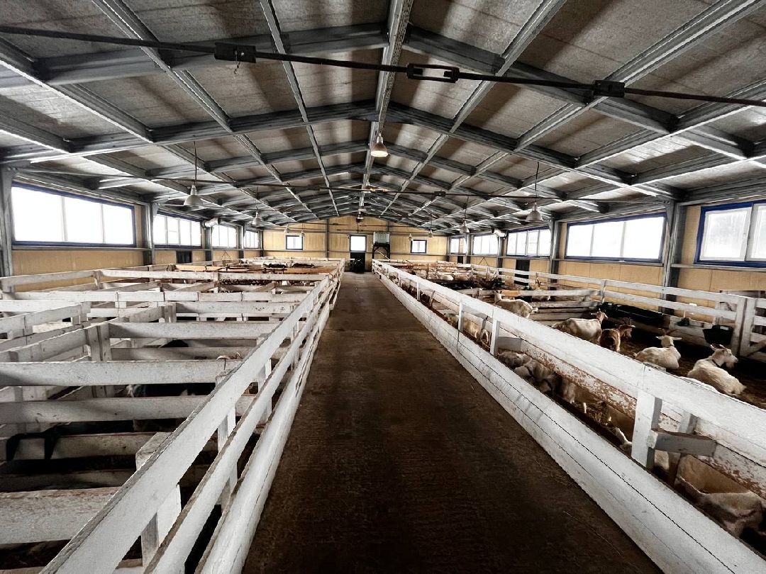 Можайский Округ, Подмосковье, Агротуризм, Экоферма