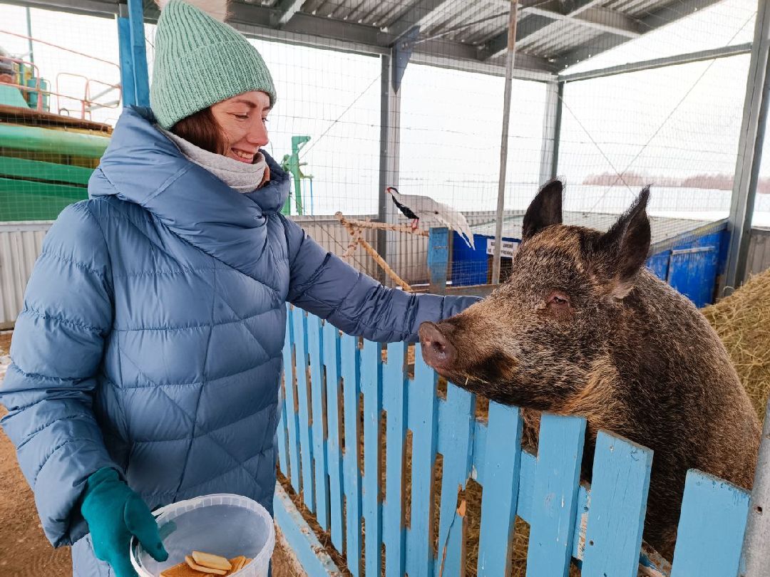 Можайский Округ, Подмосковье, Агротуризм, Экоферма