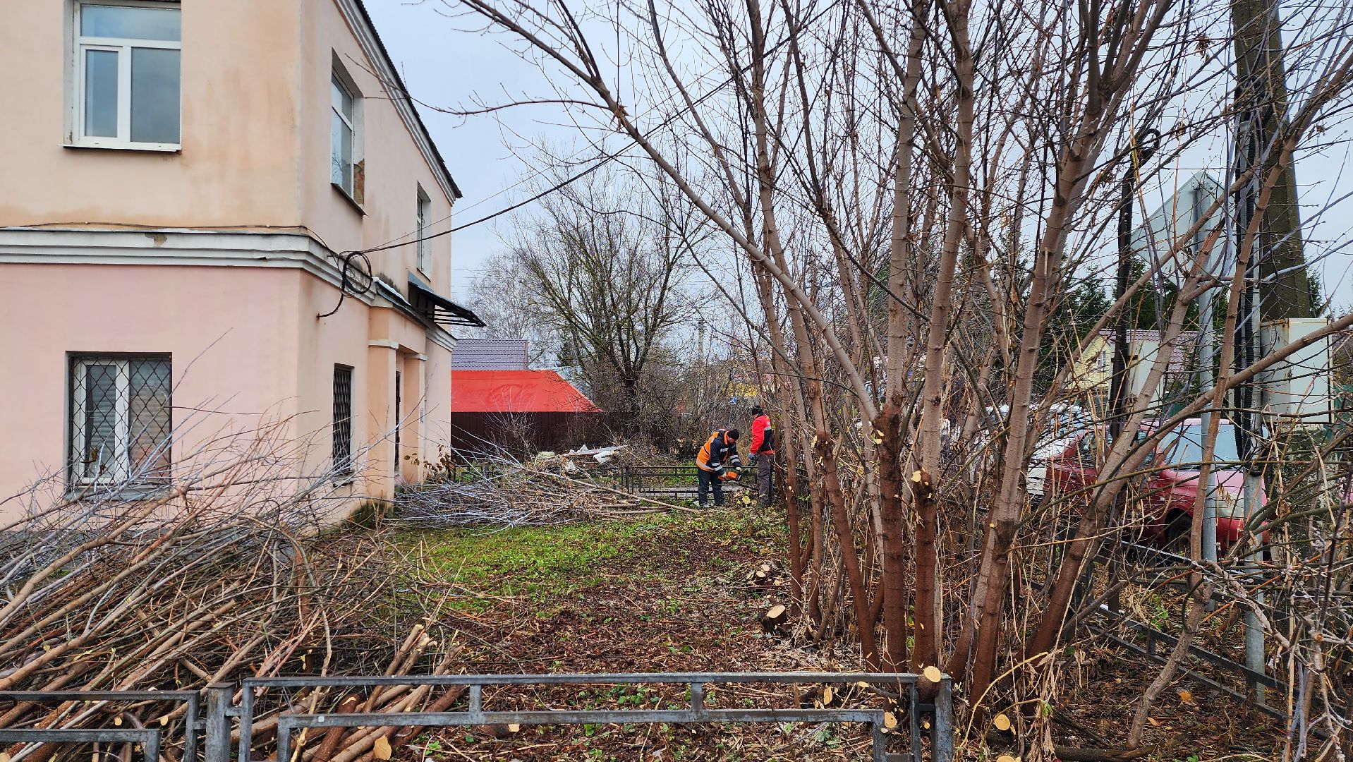 добродел, благоустройство, опиловка, истра, вертикалки,