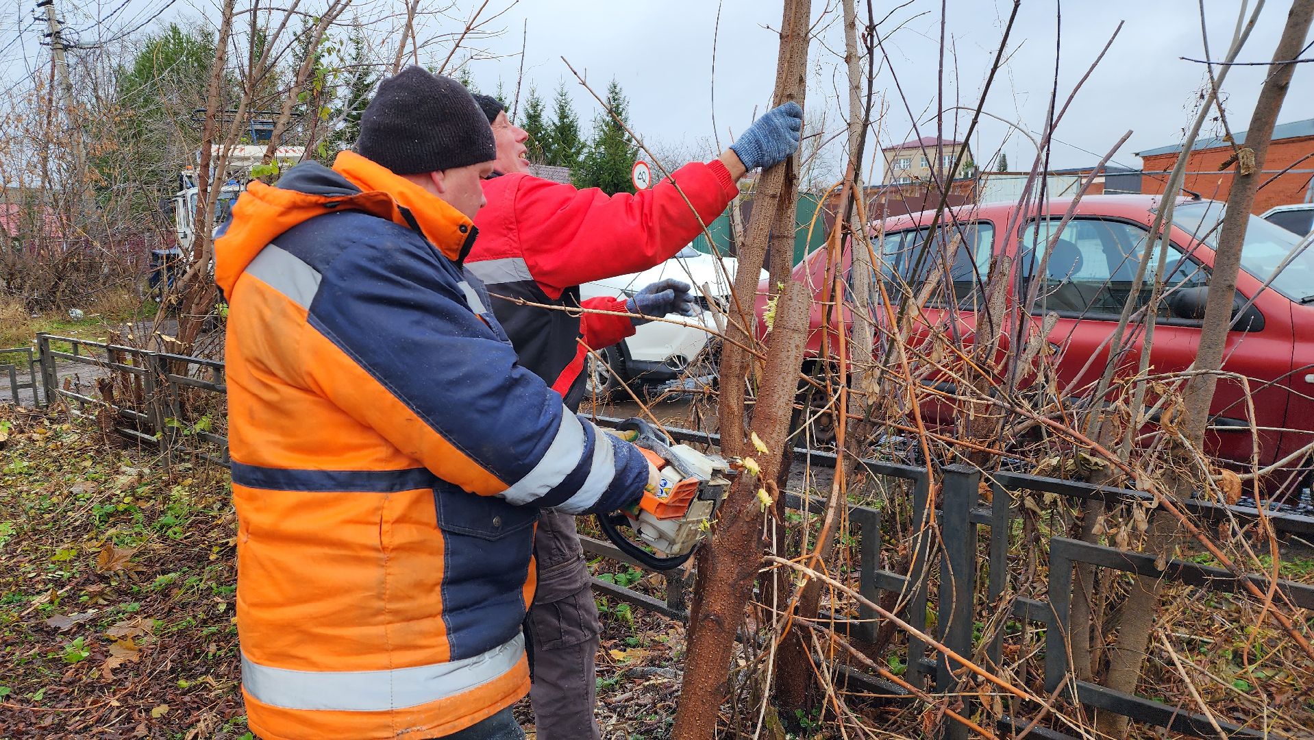 добродел, благоустройство, опиловка, истра, вертикалки,