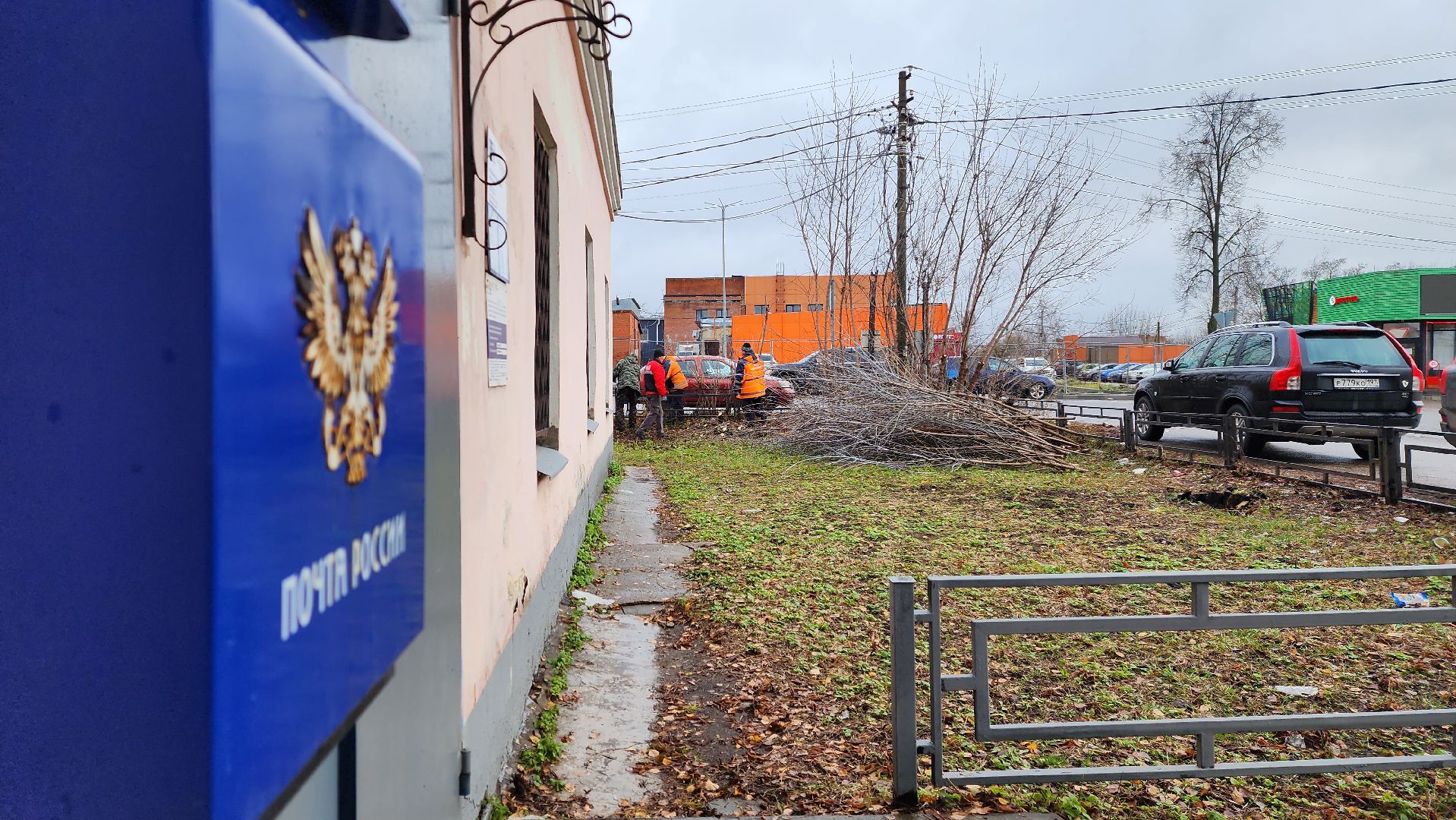 добродел, благоустройство, опиловка, истра, вертикалки,