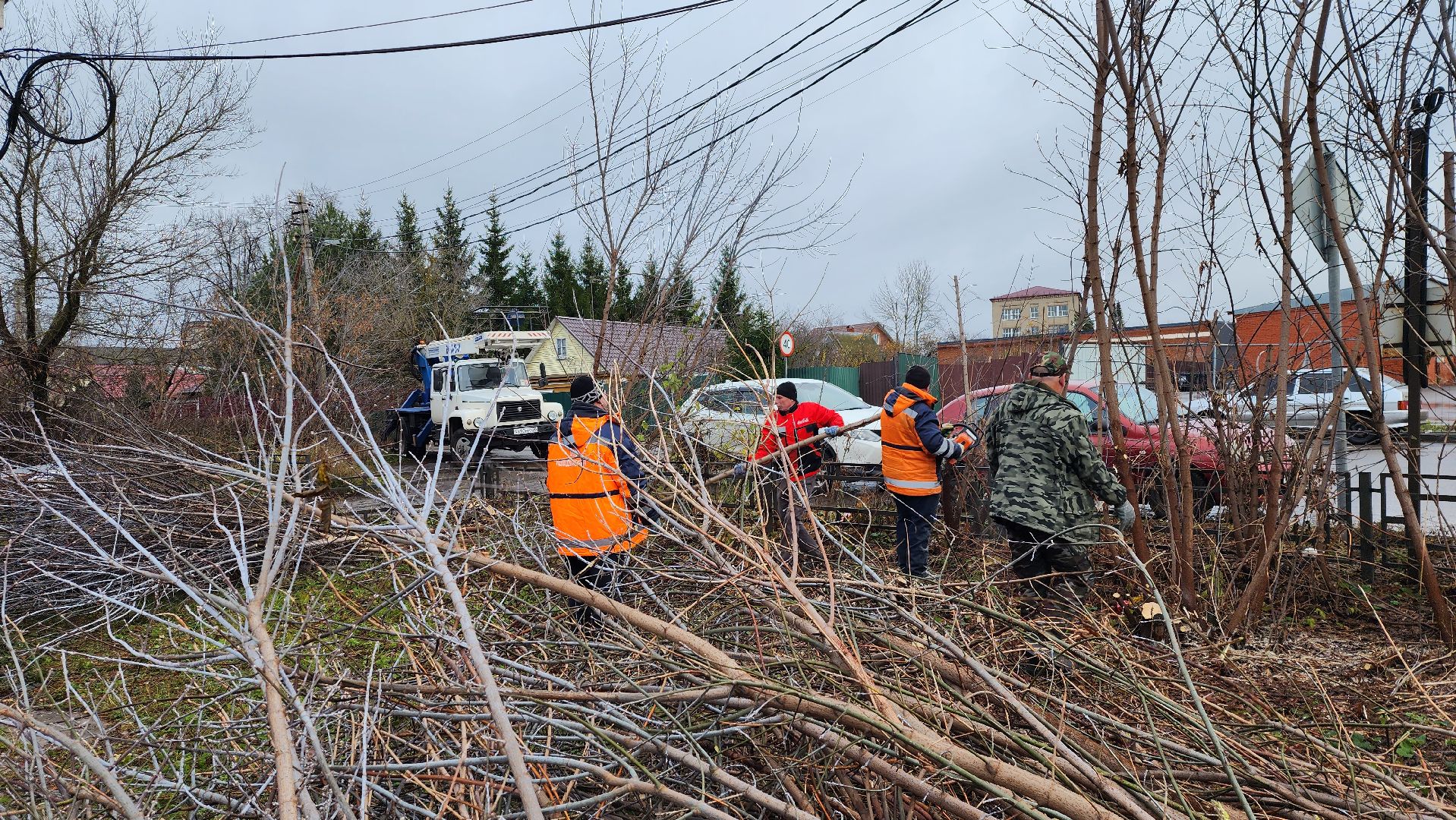 добродел, благоустройство, опиловка, истра, вертикалки,
