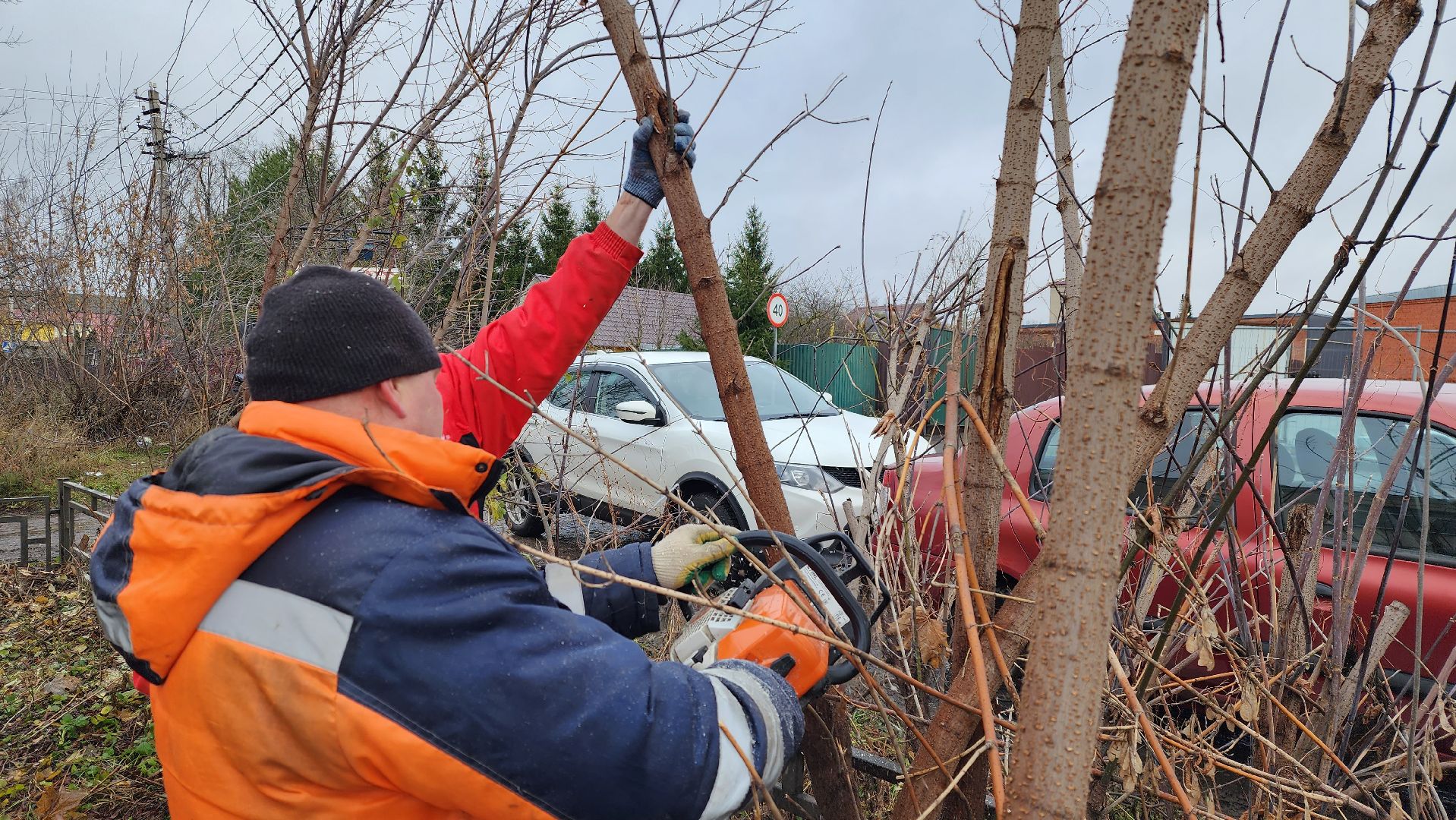 добродел, благоустройство, опиловка, истра, вертикалки,