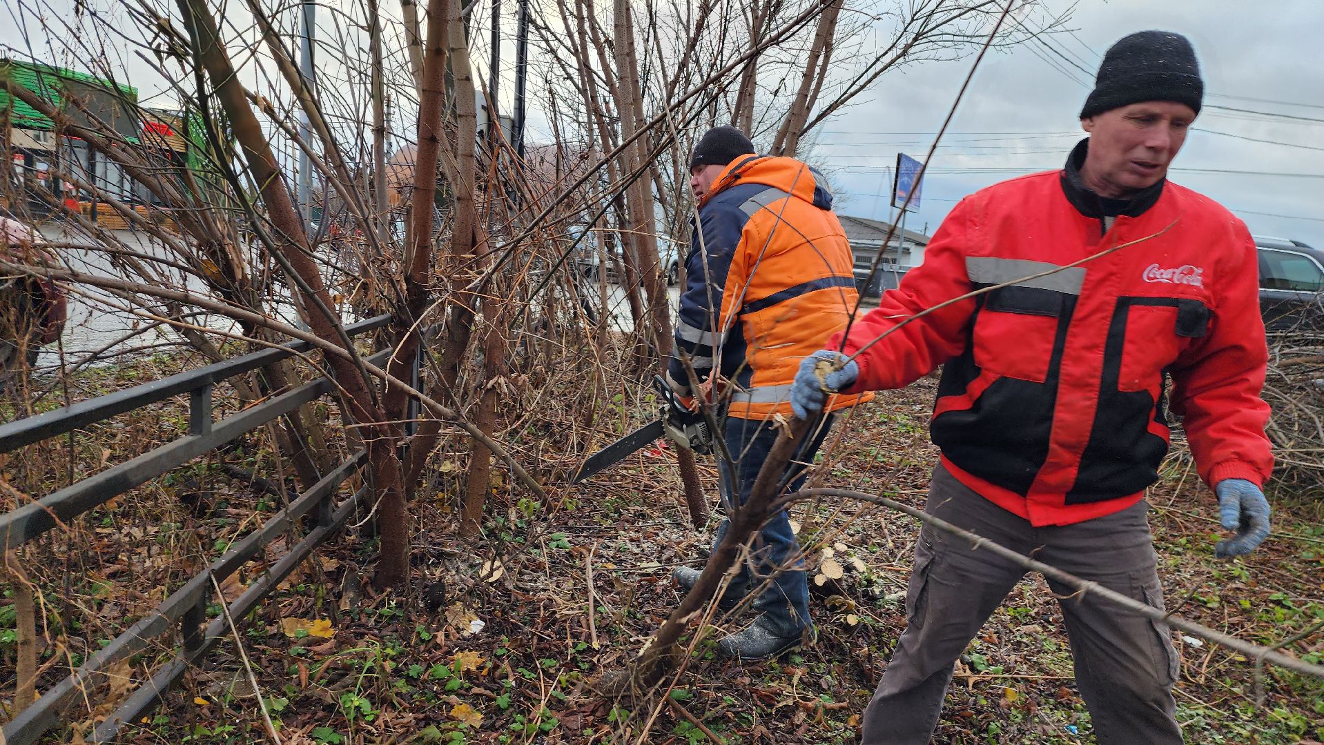 добродел, благоустройство, опиловка, истра, вертикалки,
