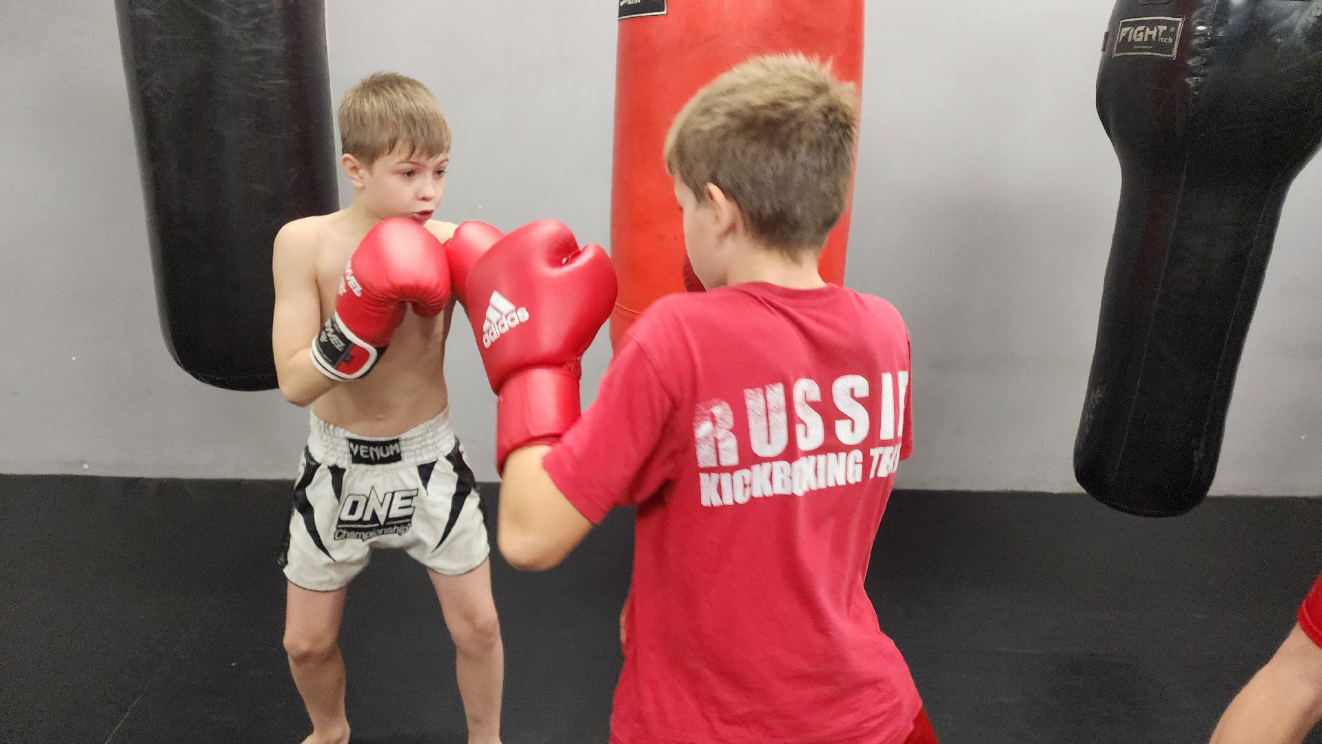 Реутов, вертикалки, спорт, Пересвет, кикбоксинг, соревнования,