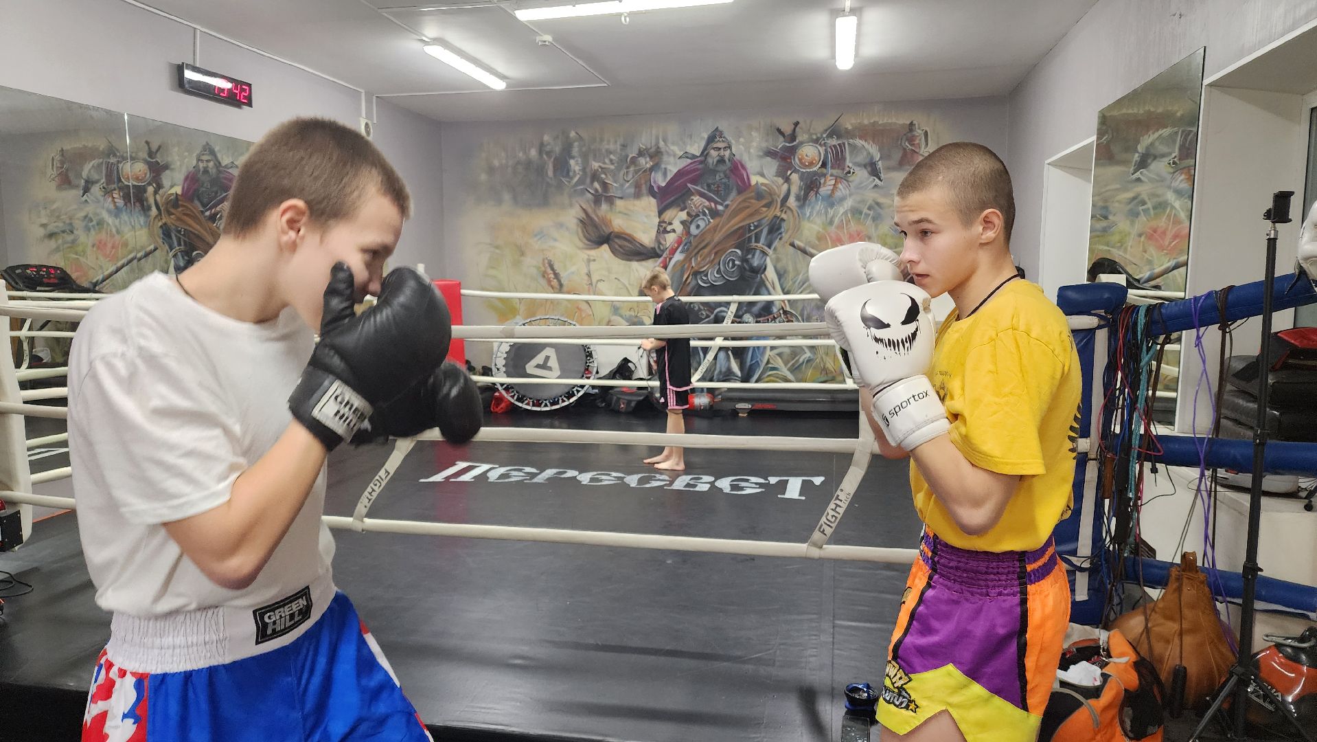Реутов, вертикалки, спорт, Пересвет, кикбоксинг, соревнования,