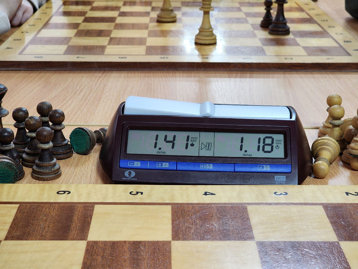 Луховицы, Шахматы,