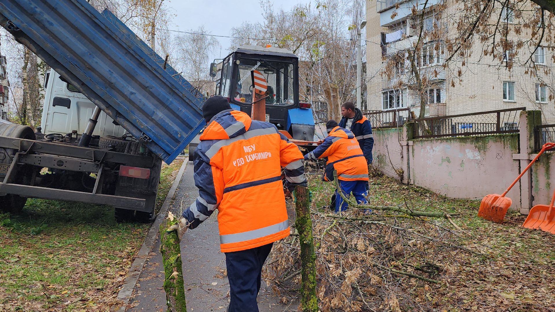 ветки, истра, благоустройство, вертикалки,
