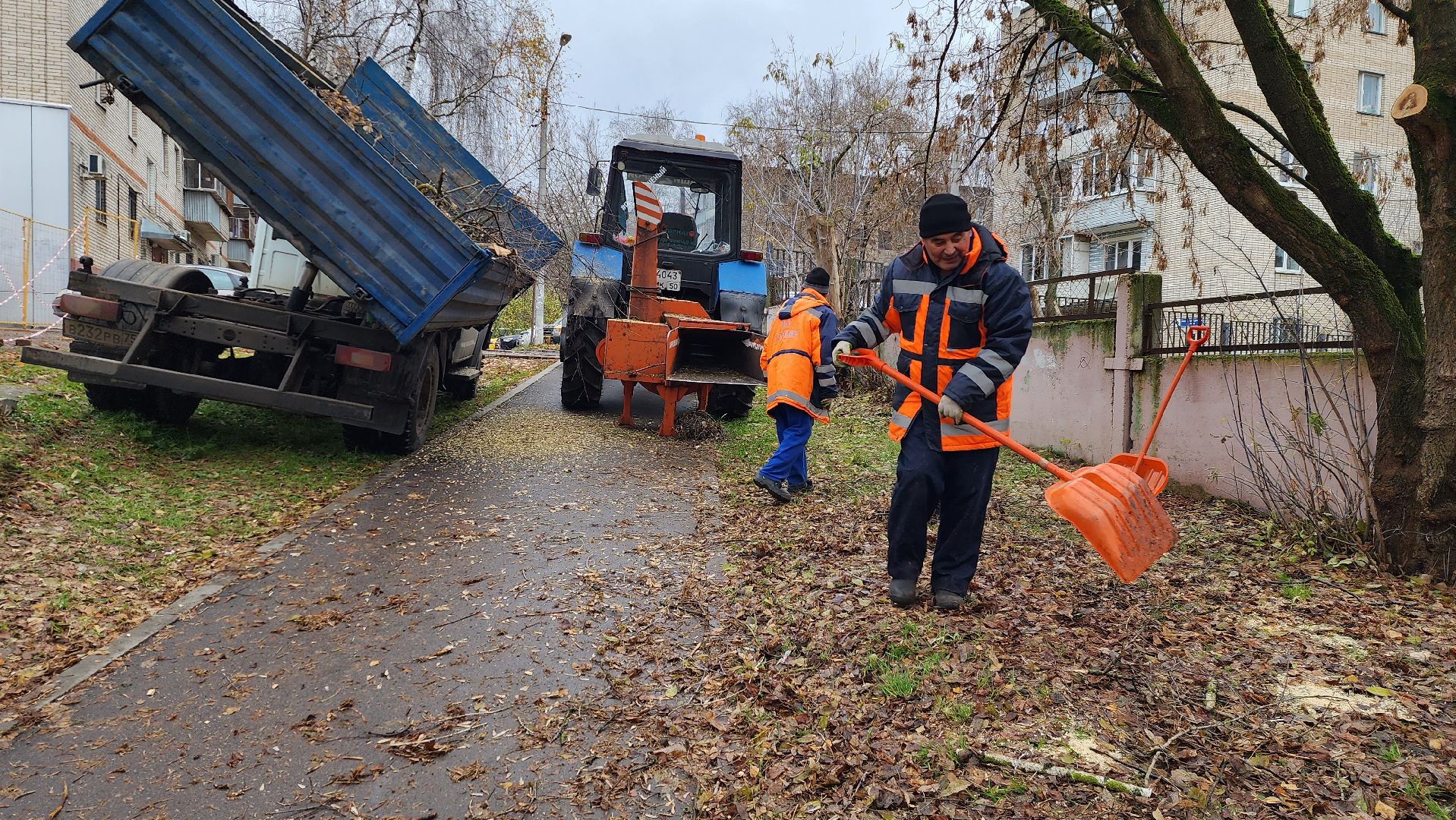 ветки, истра, благоустройство, вертикалки,